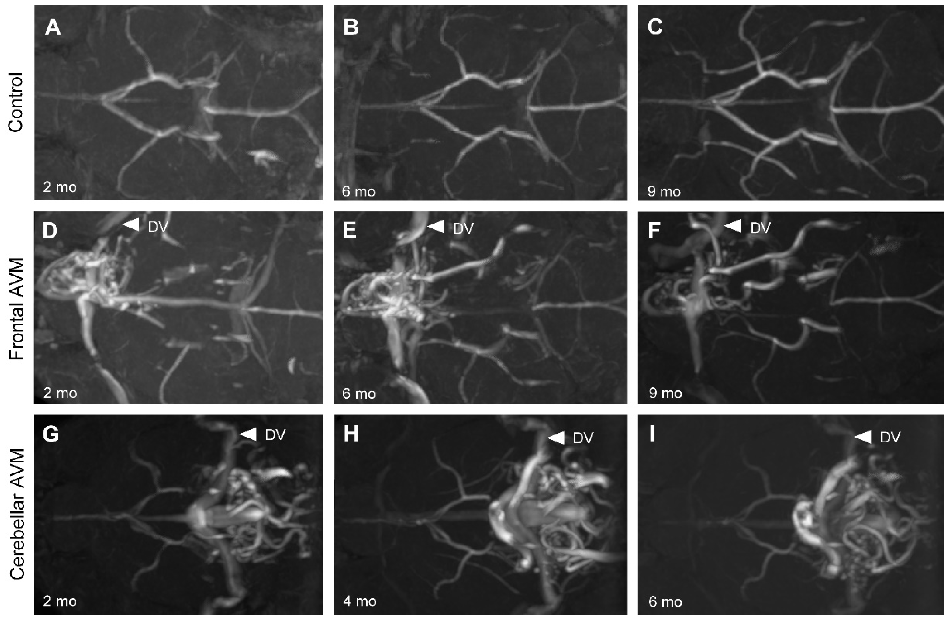 Preprints 87686 g002