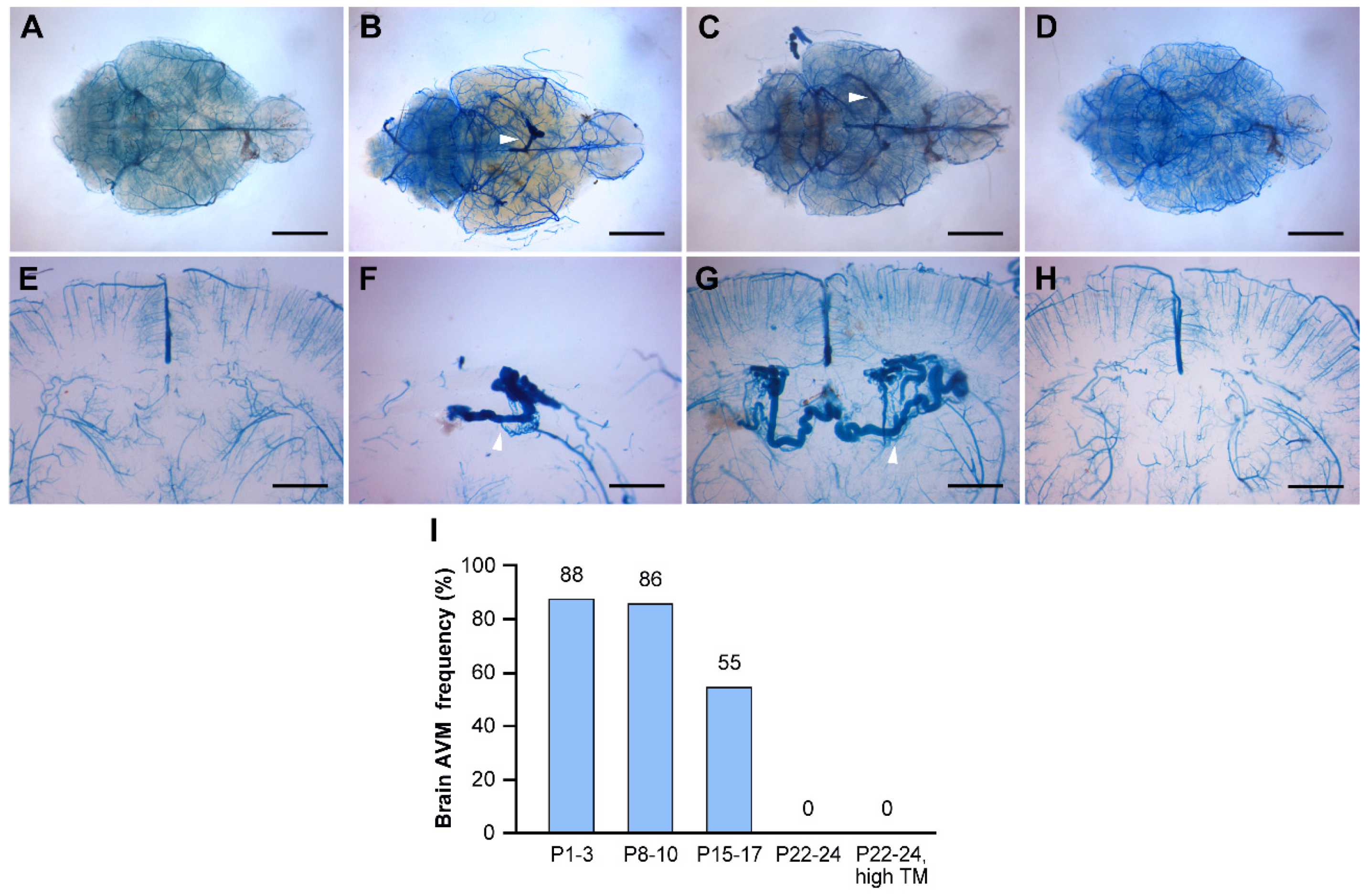 Preprints 87686 g003