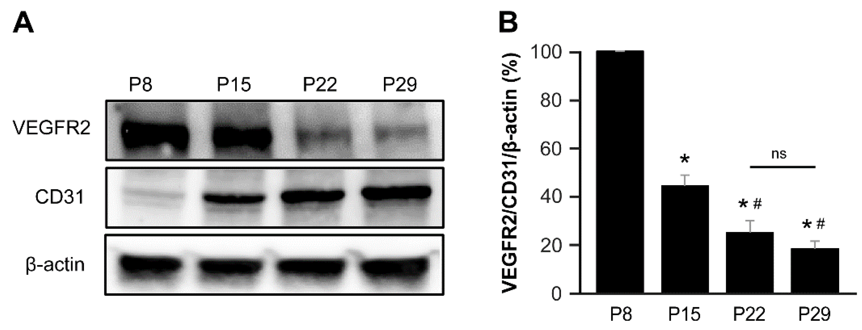 Preprints 87686 g005