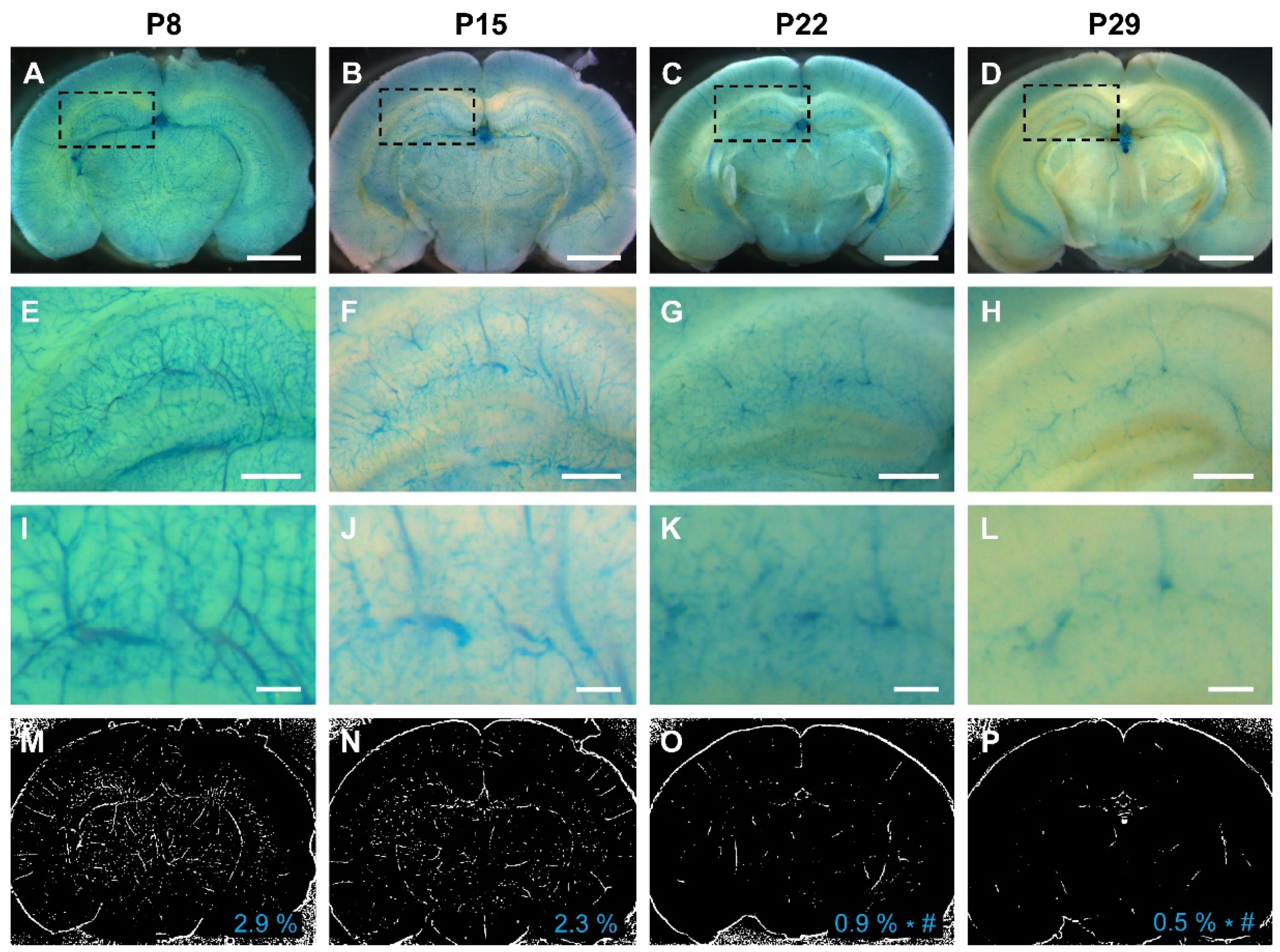 Preprints 87686 g006