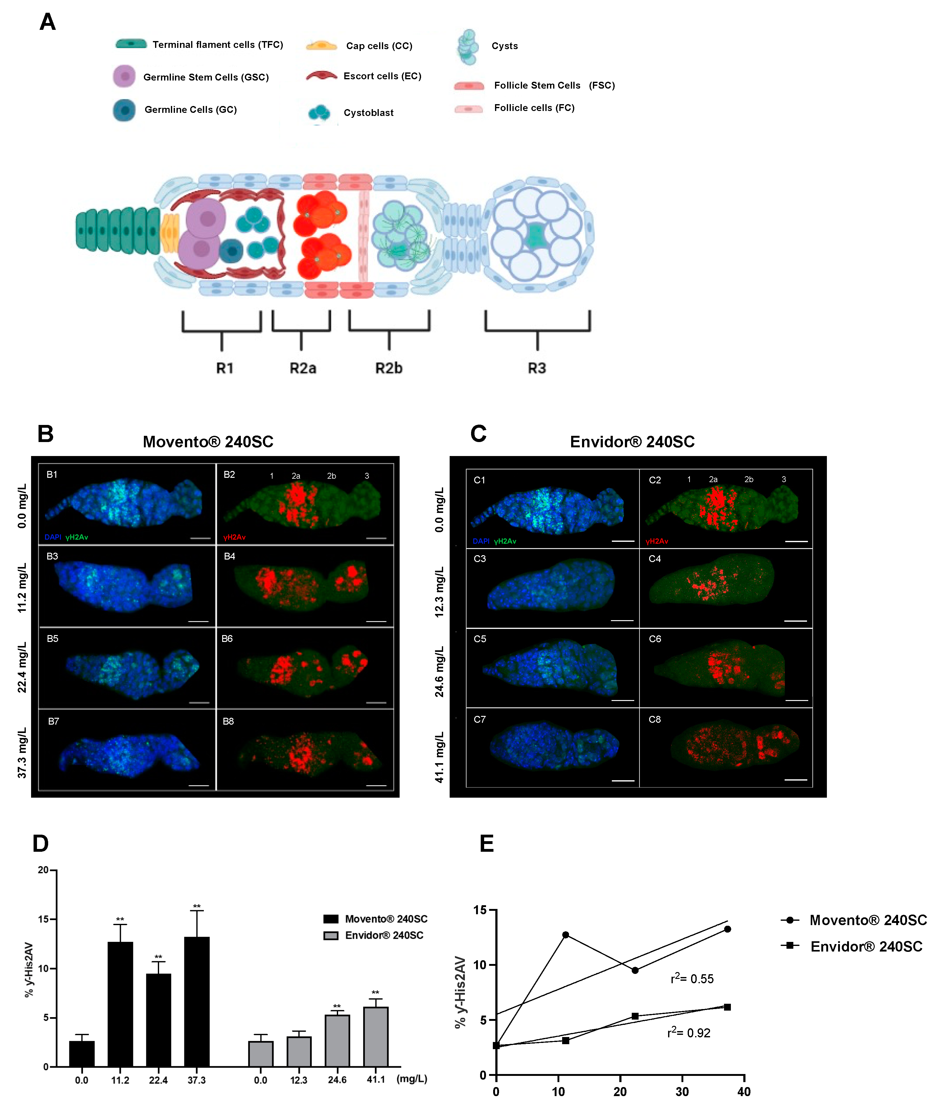 Preprints 80658 g002