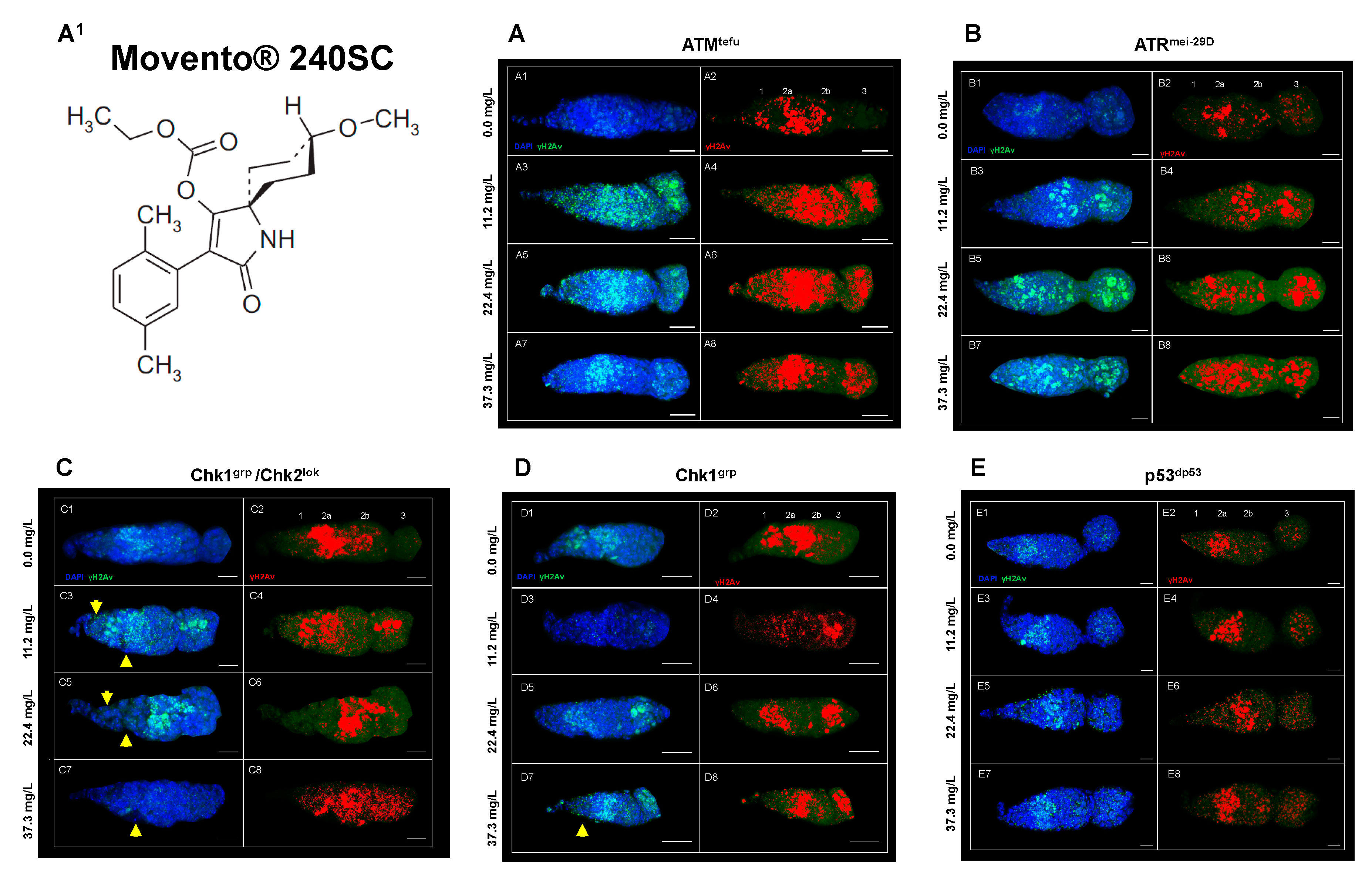 Preprints 80658 g003