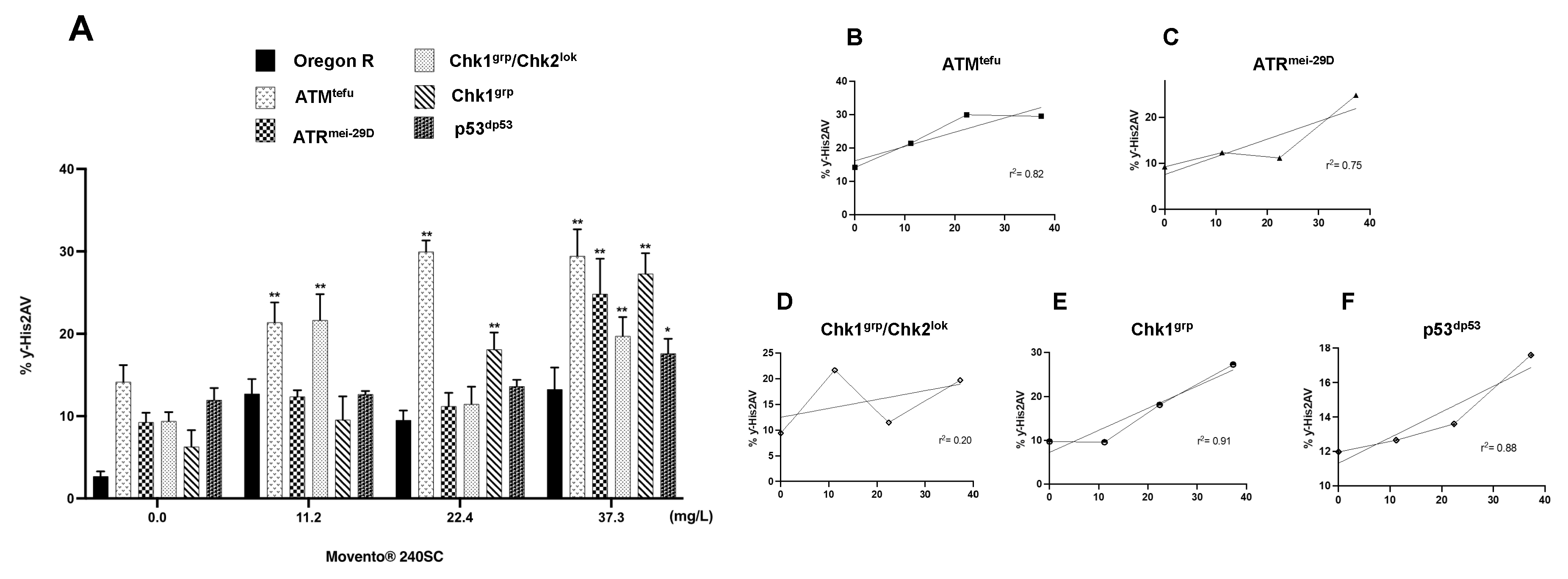 Preprints 80658 g004