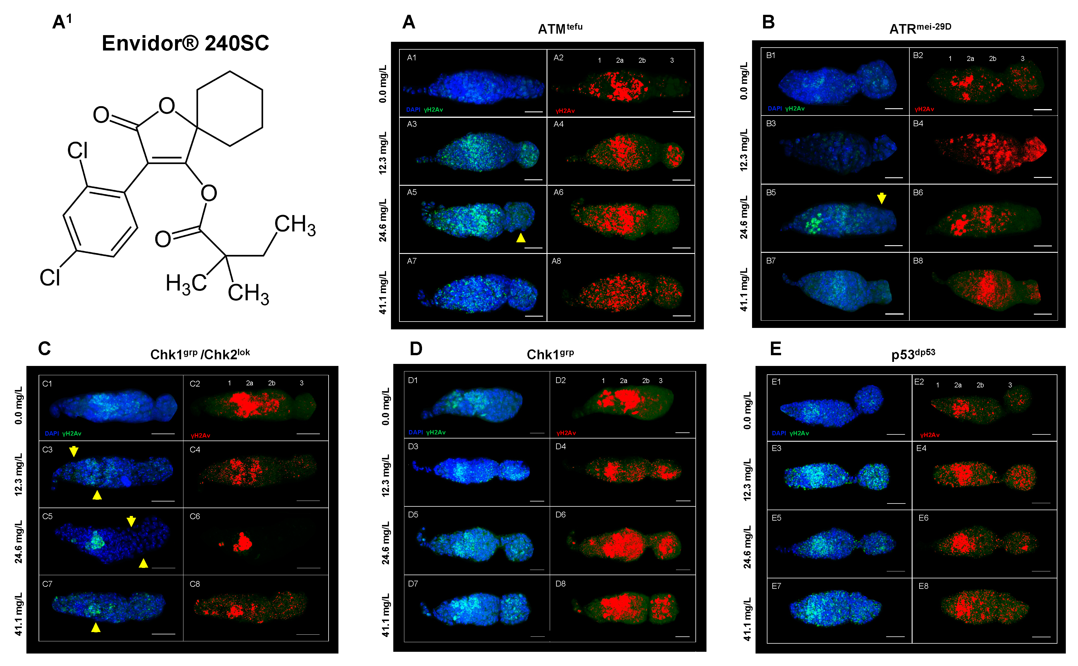 Preprints 80658 g005