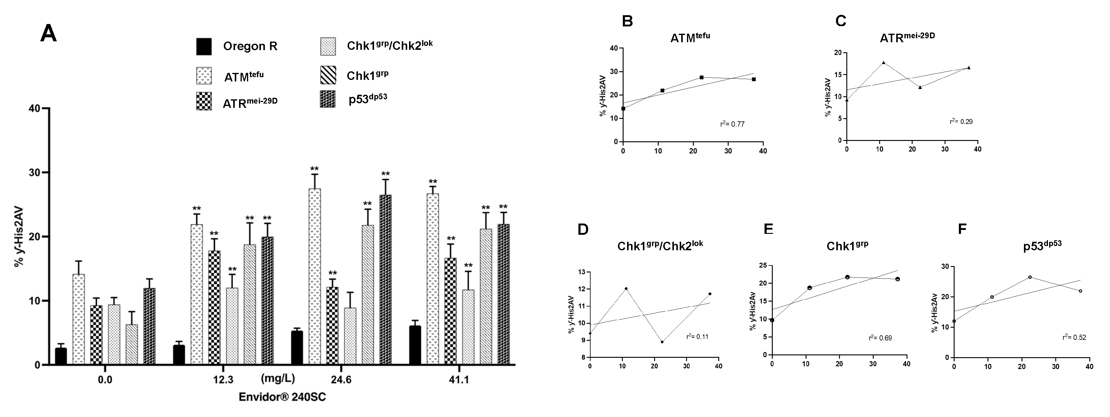 Preprints 80658 g006