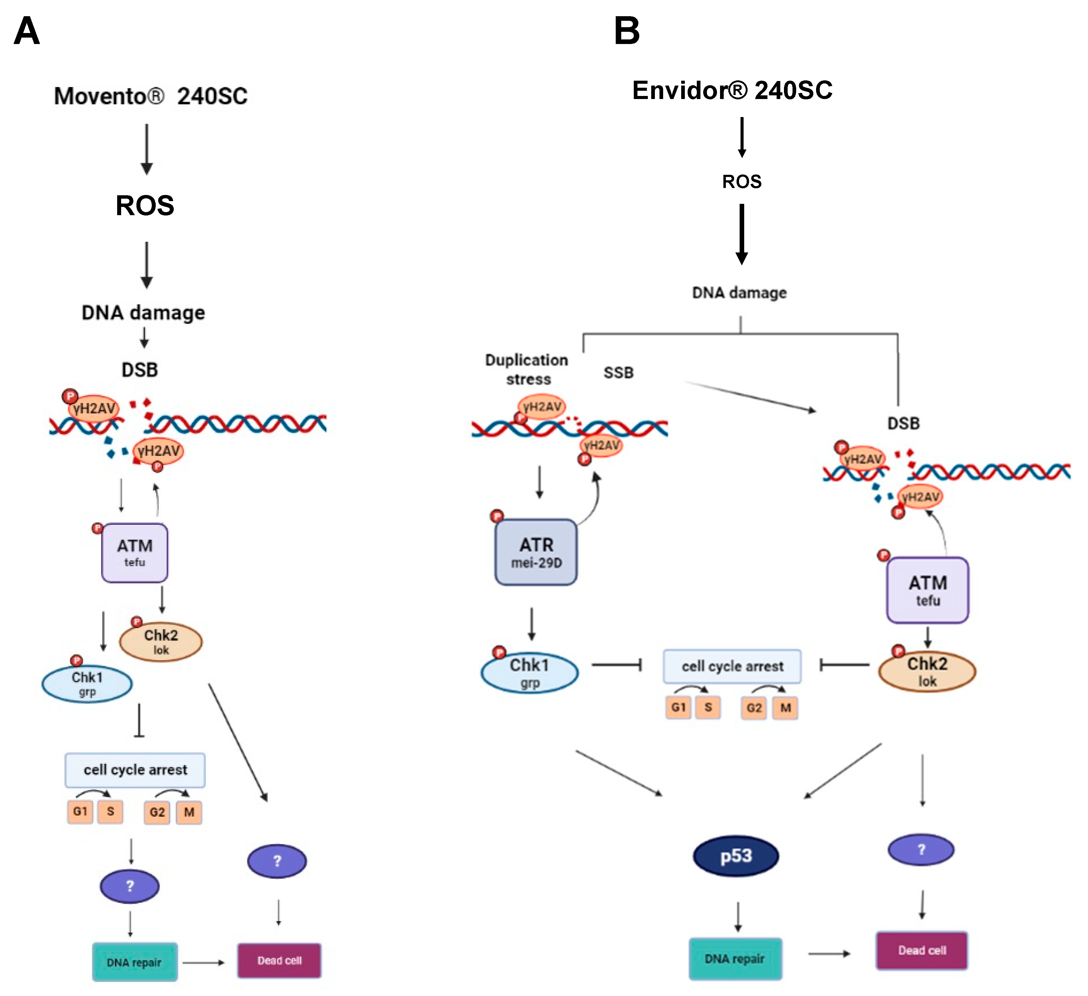 Preprints 80658 g007