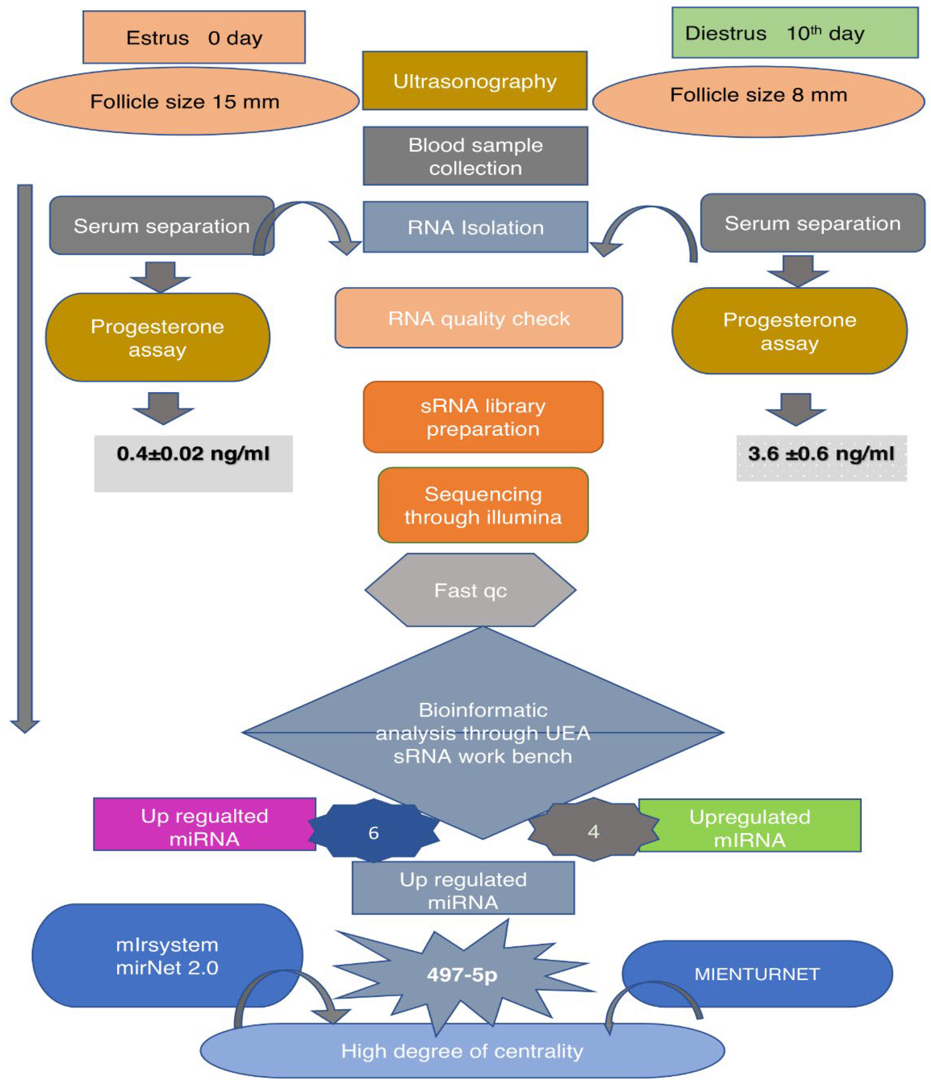 Preprints 75688 g001