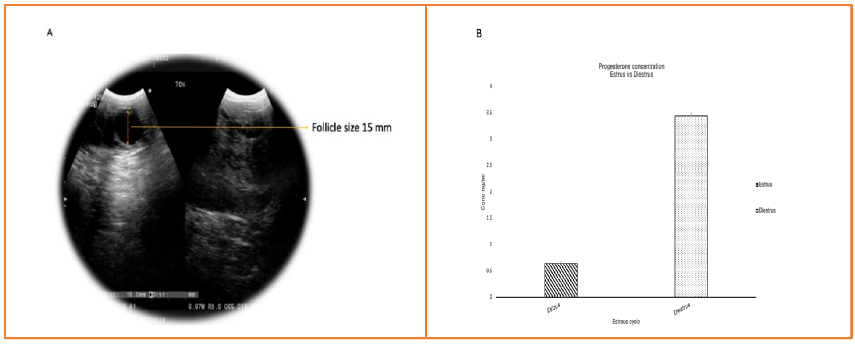 Preprints 75688 g002