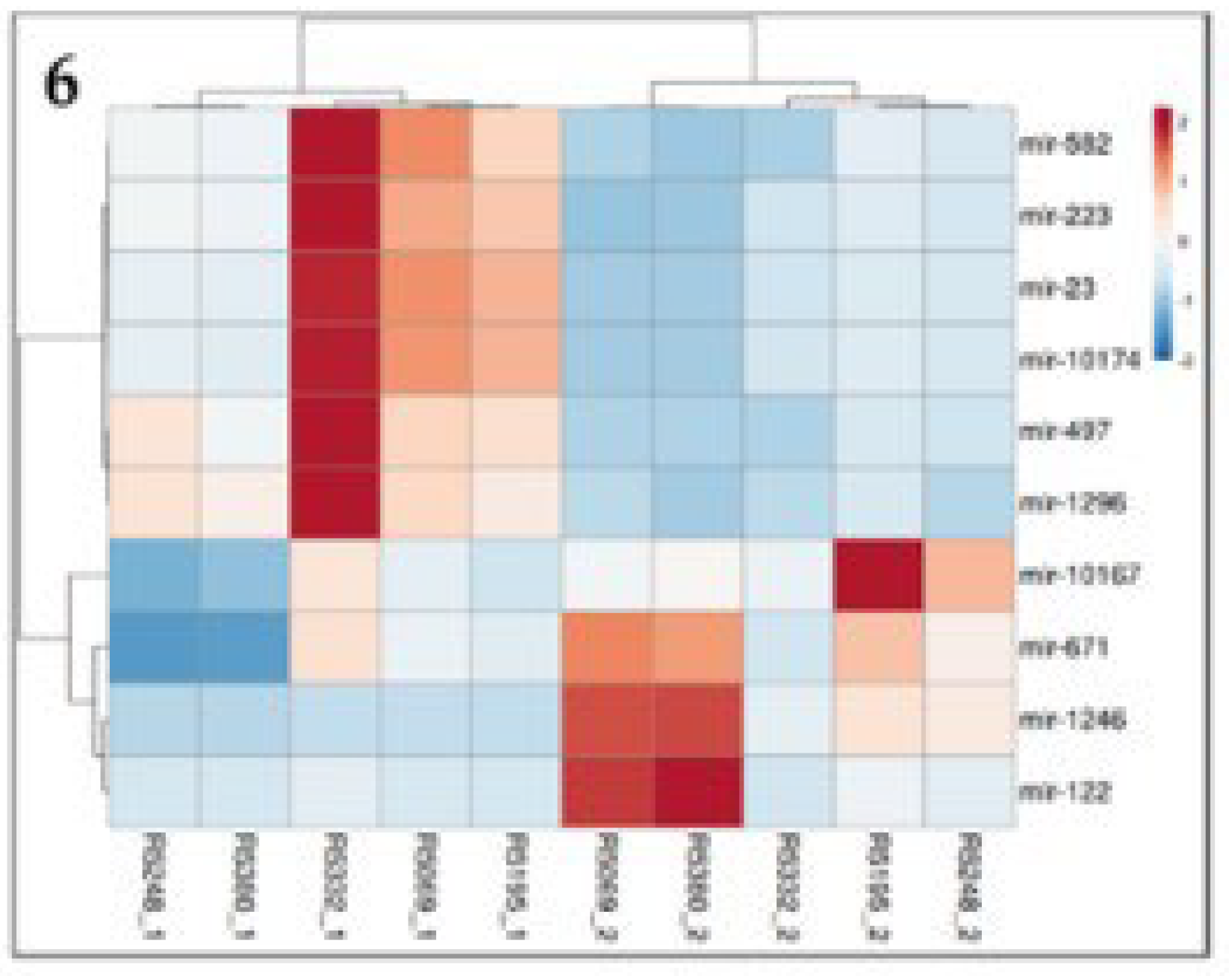 Preprints 75688 g006