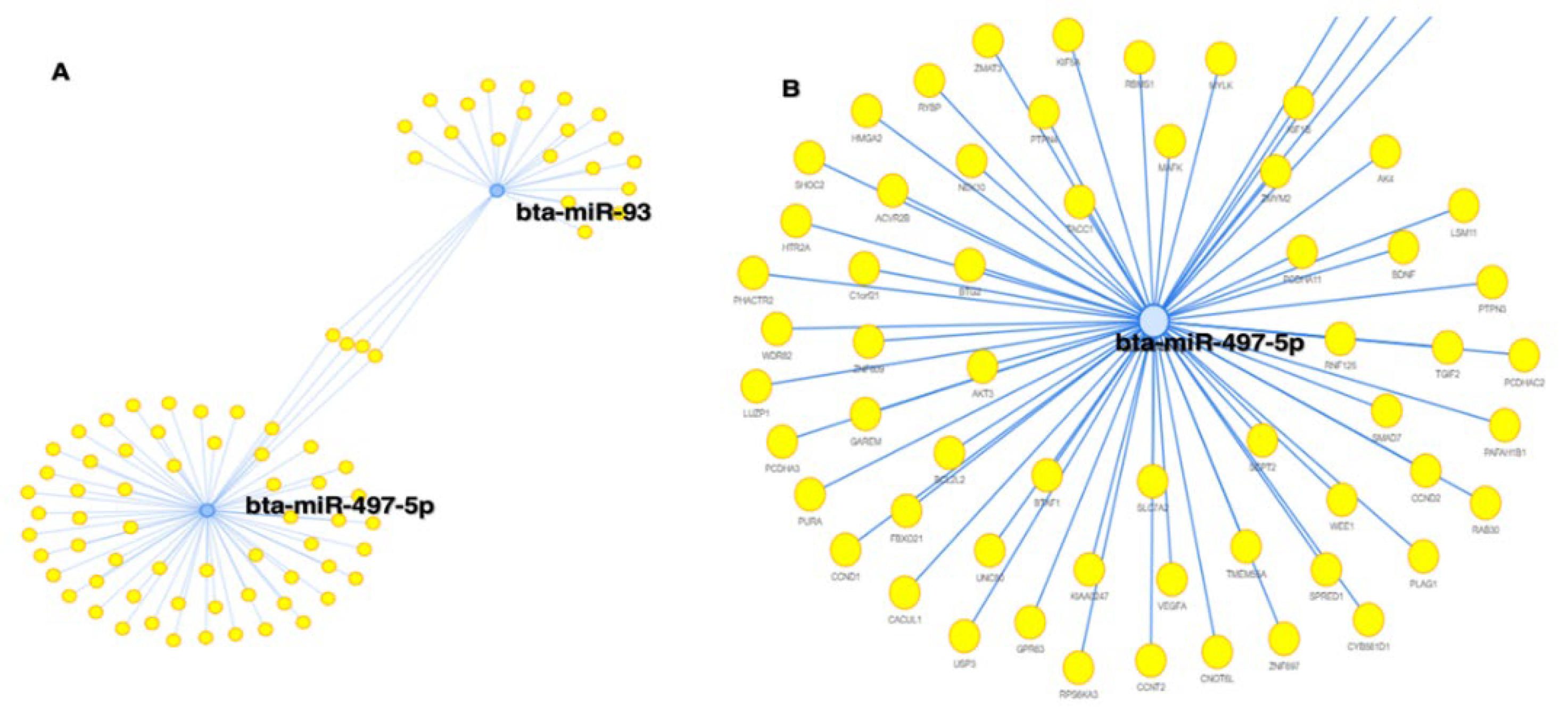 Preprints 75688 g011