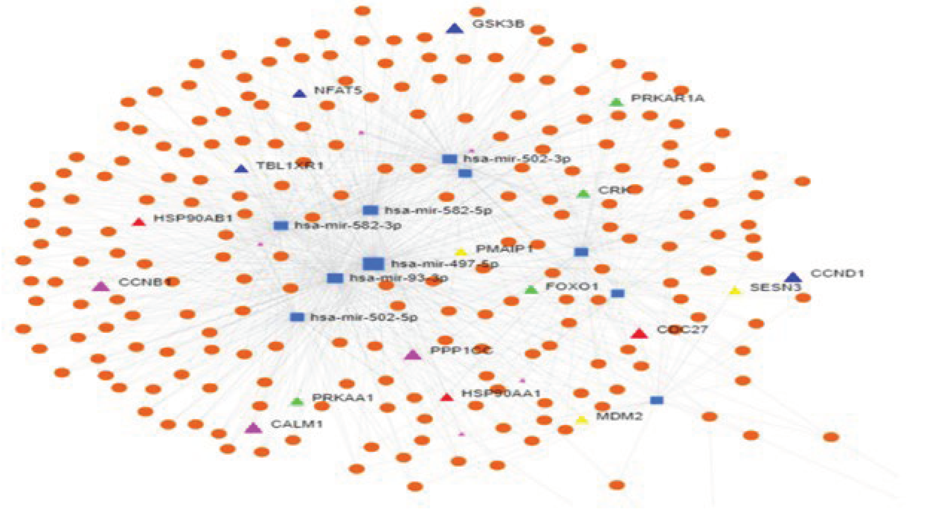 Preprints 75688 g012