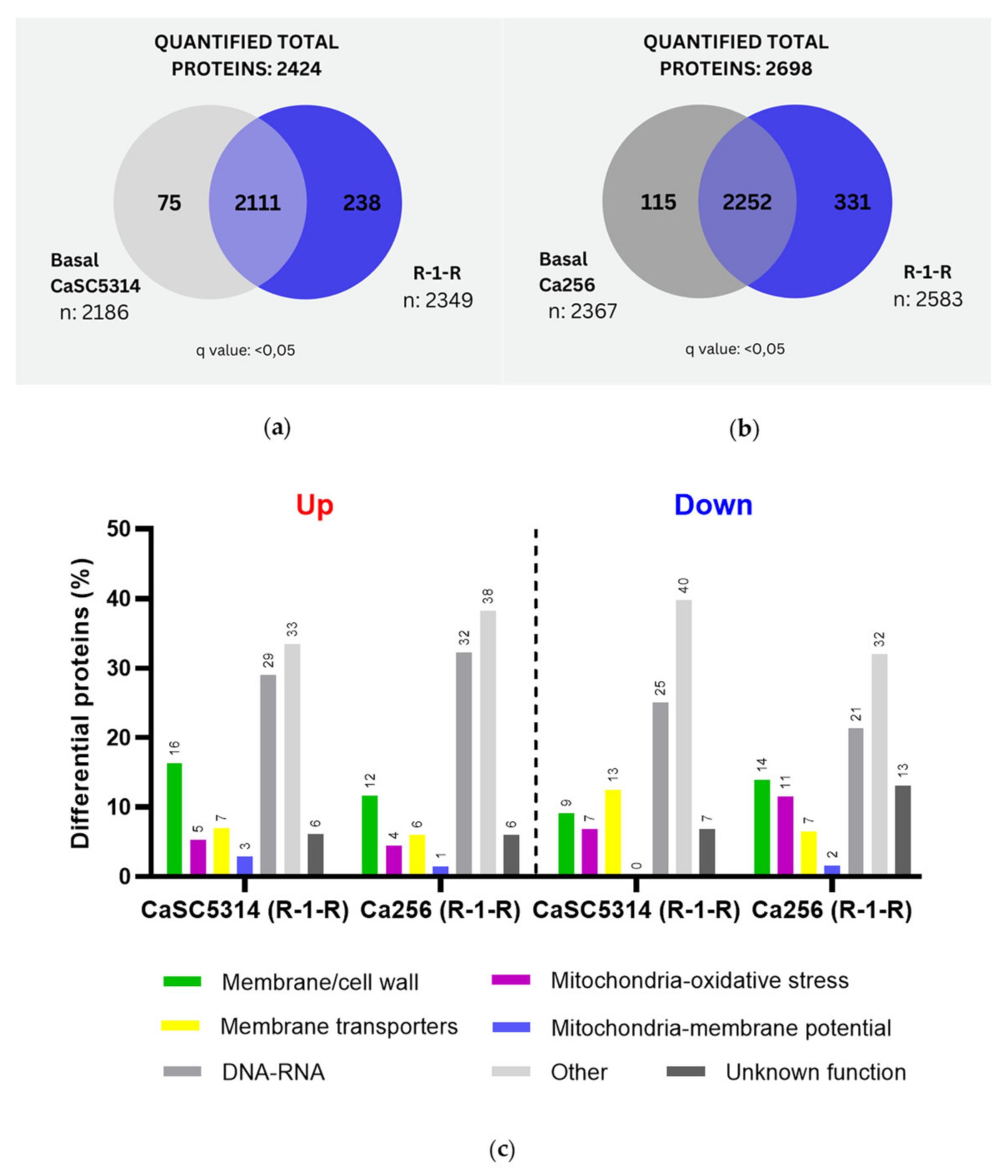 Preprints 111232 g001