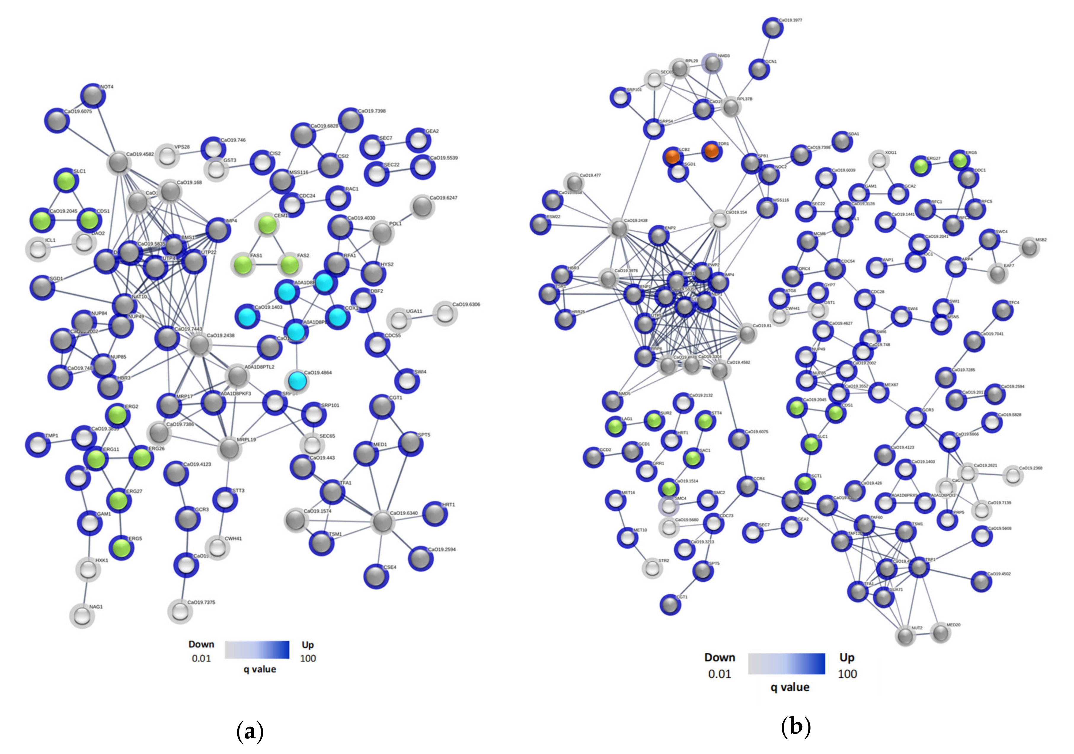 Preprints 111232 g003