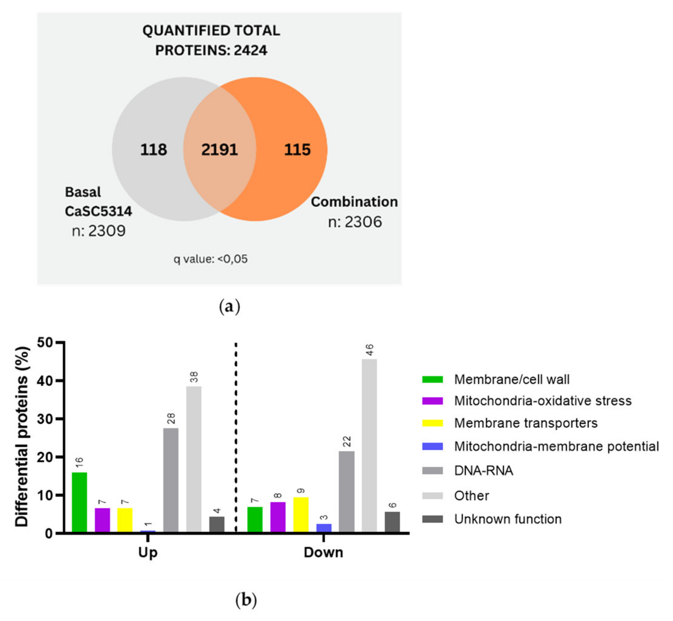 Preprints 111232 g004