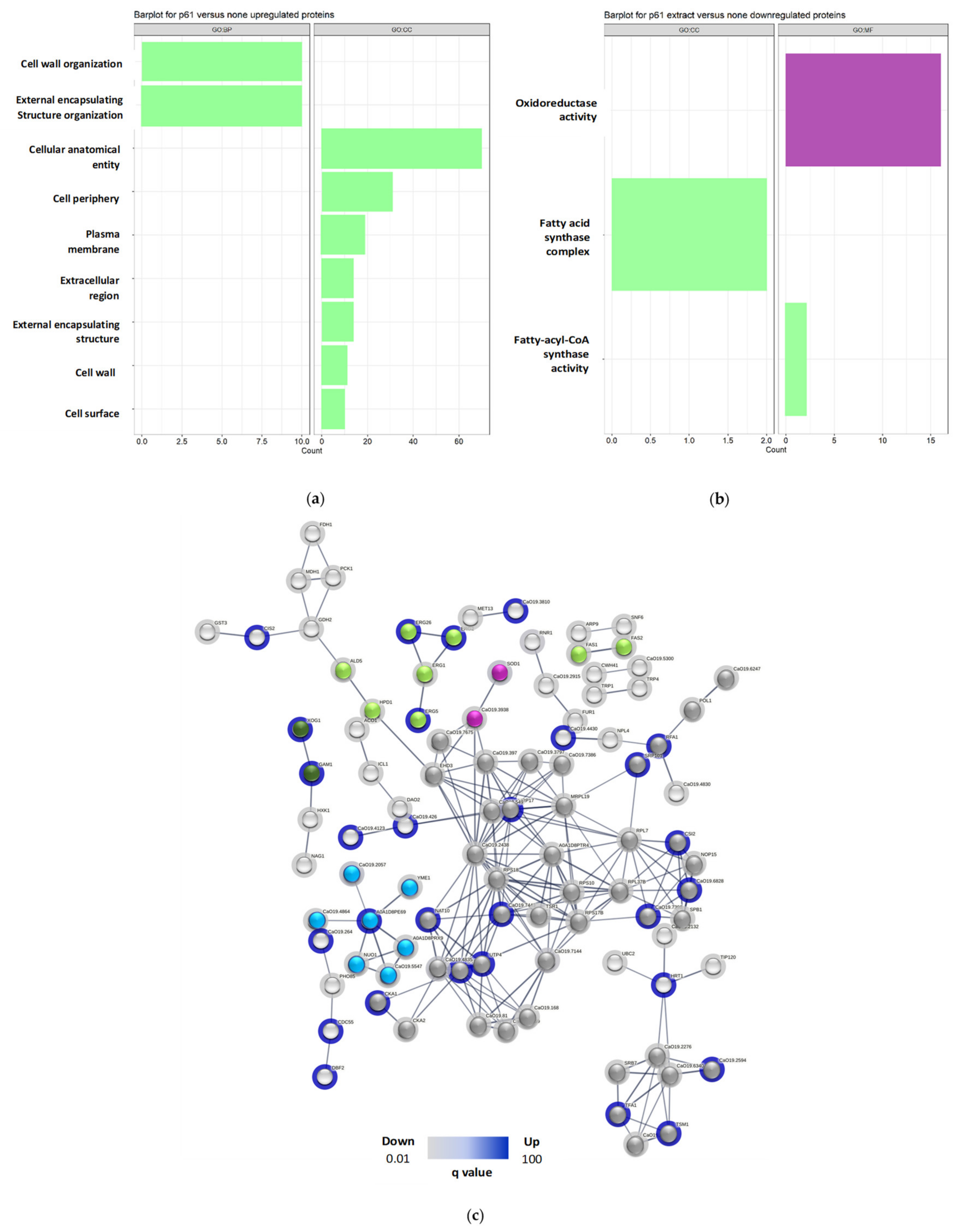 Preprints 111232 g005