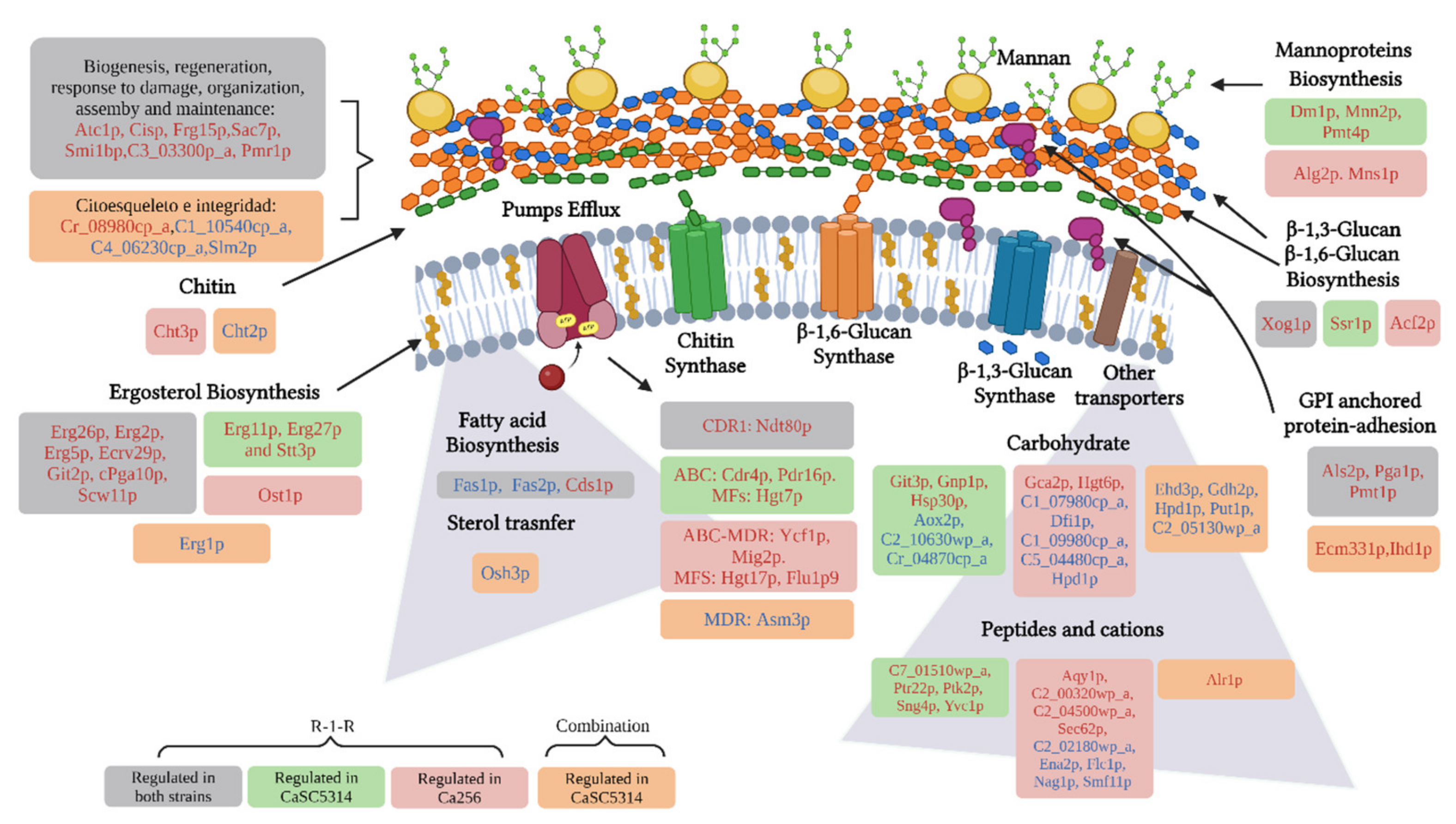 Preprints 111232 g011