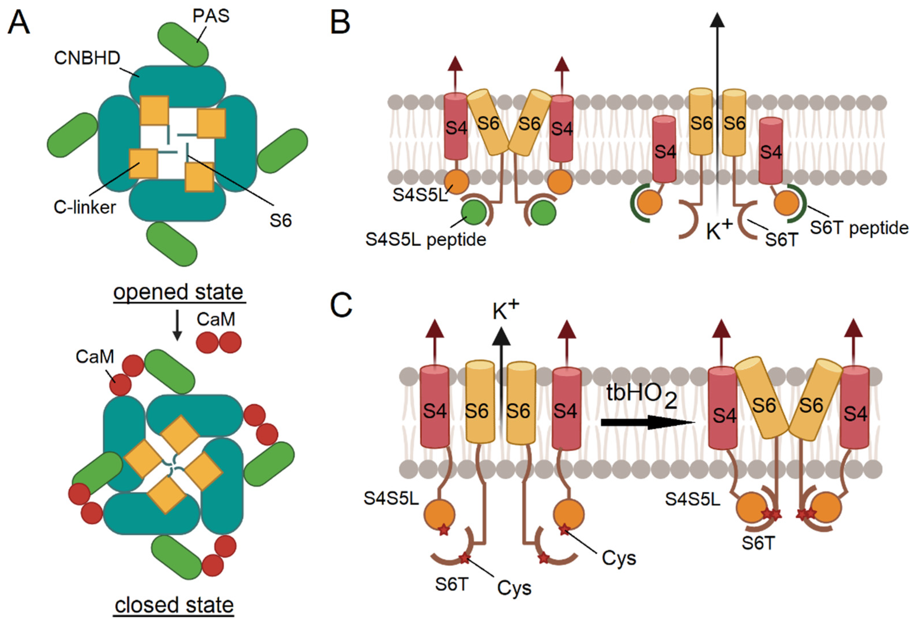 Preprints 117630 g004