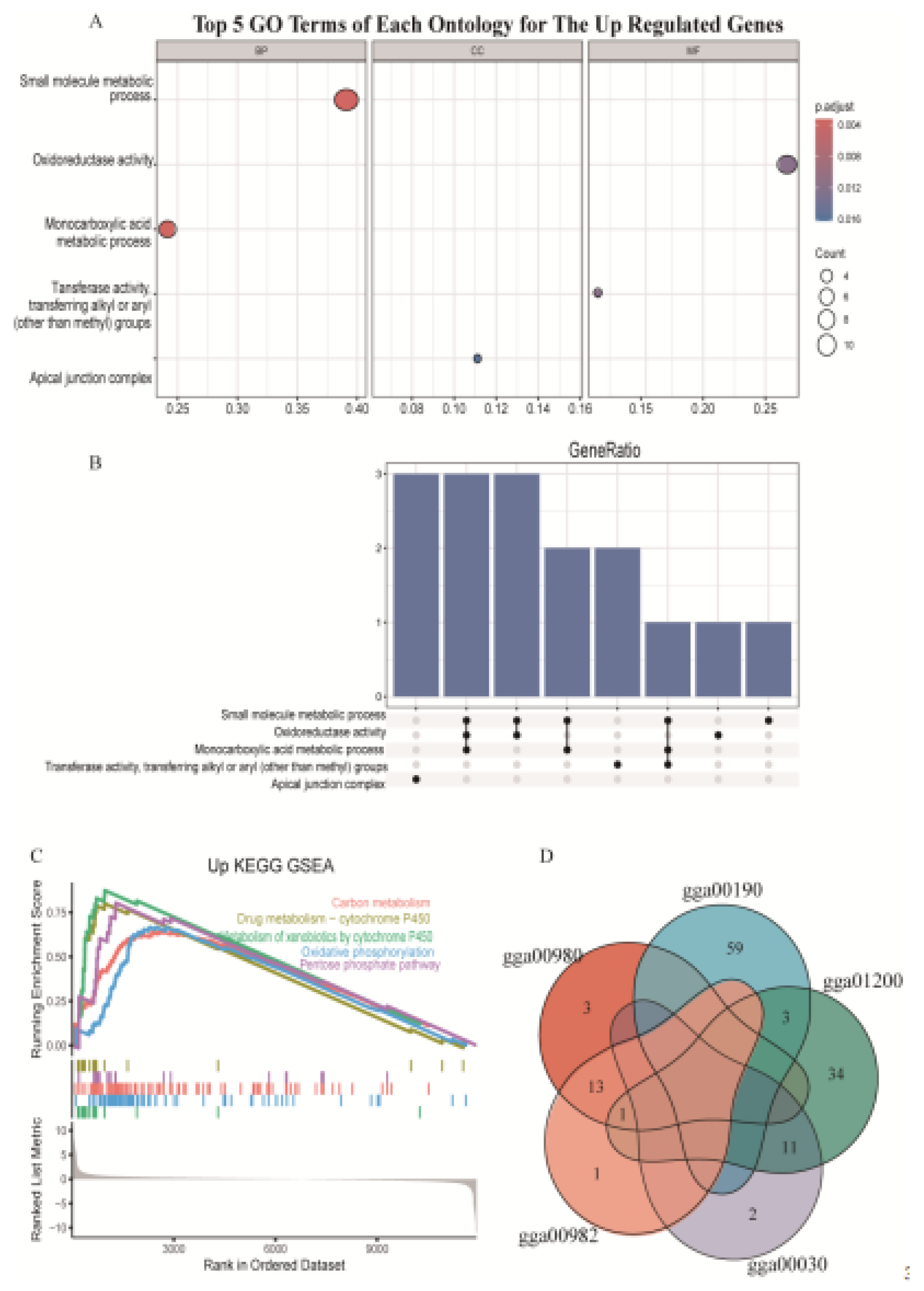 Preprints 112909 g004