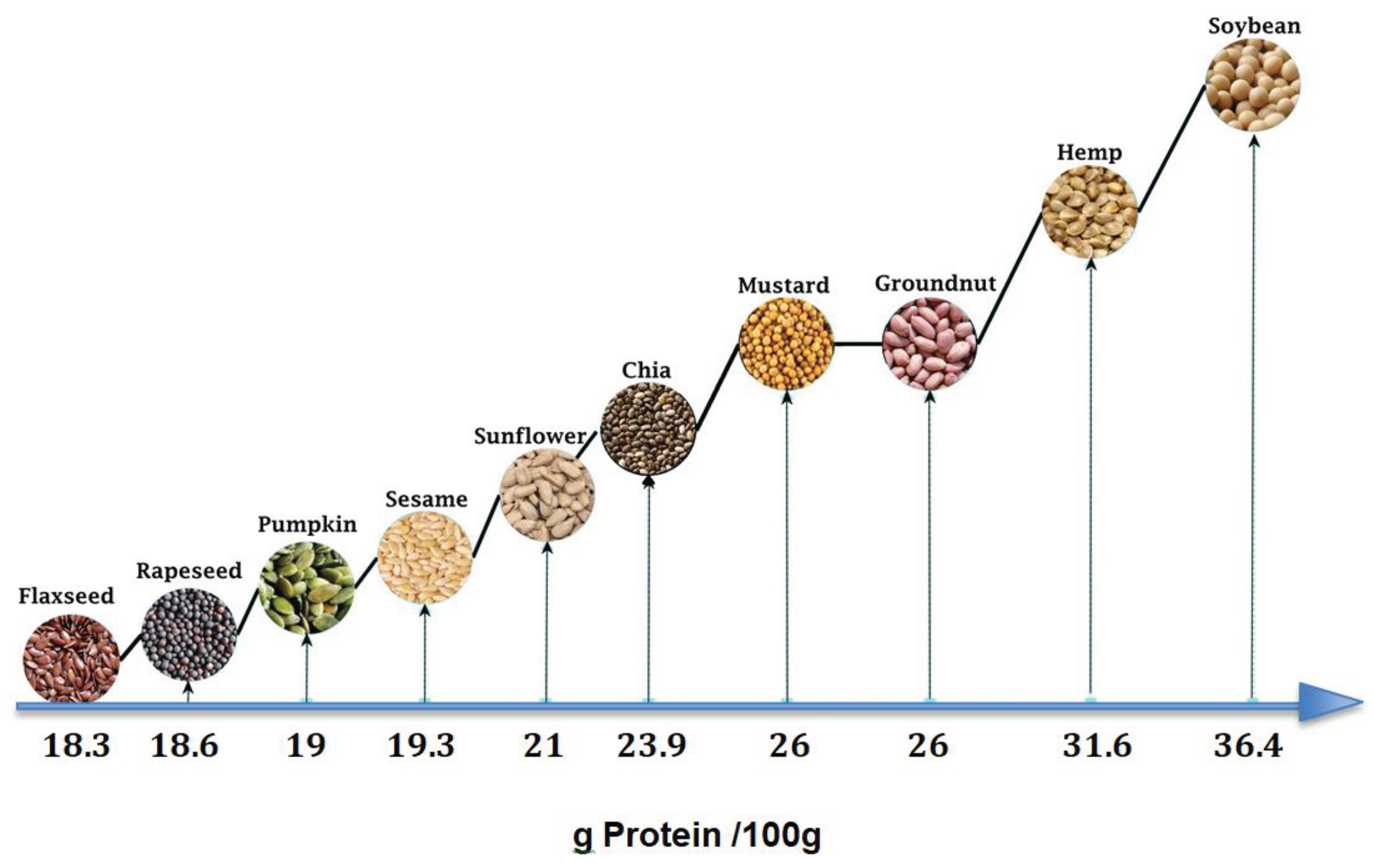 Preprints 99620 g001