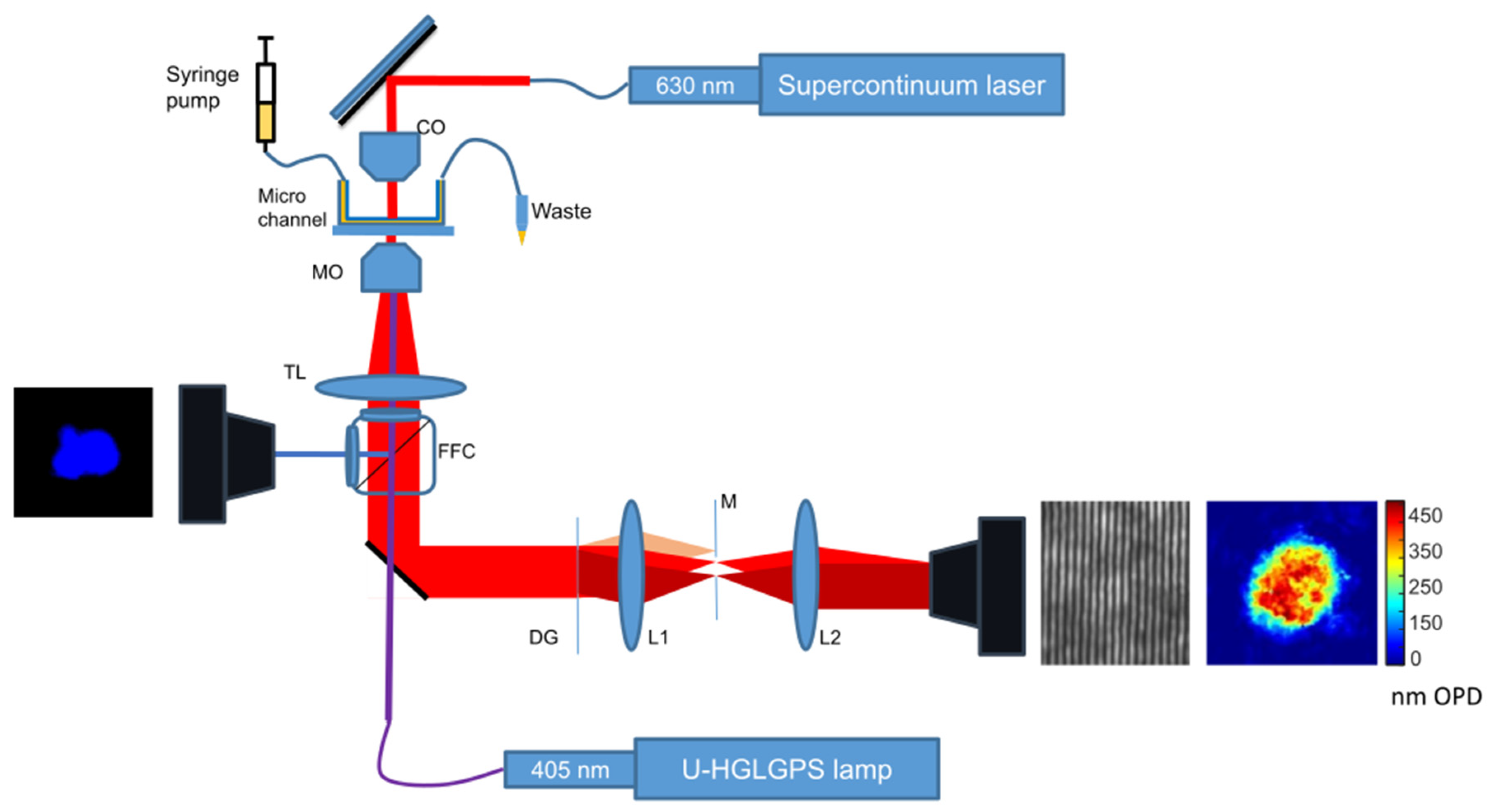 Preprints 96965 g001