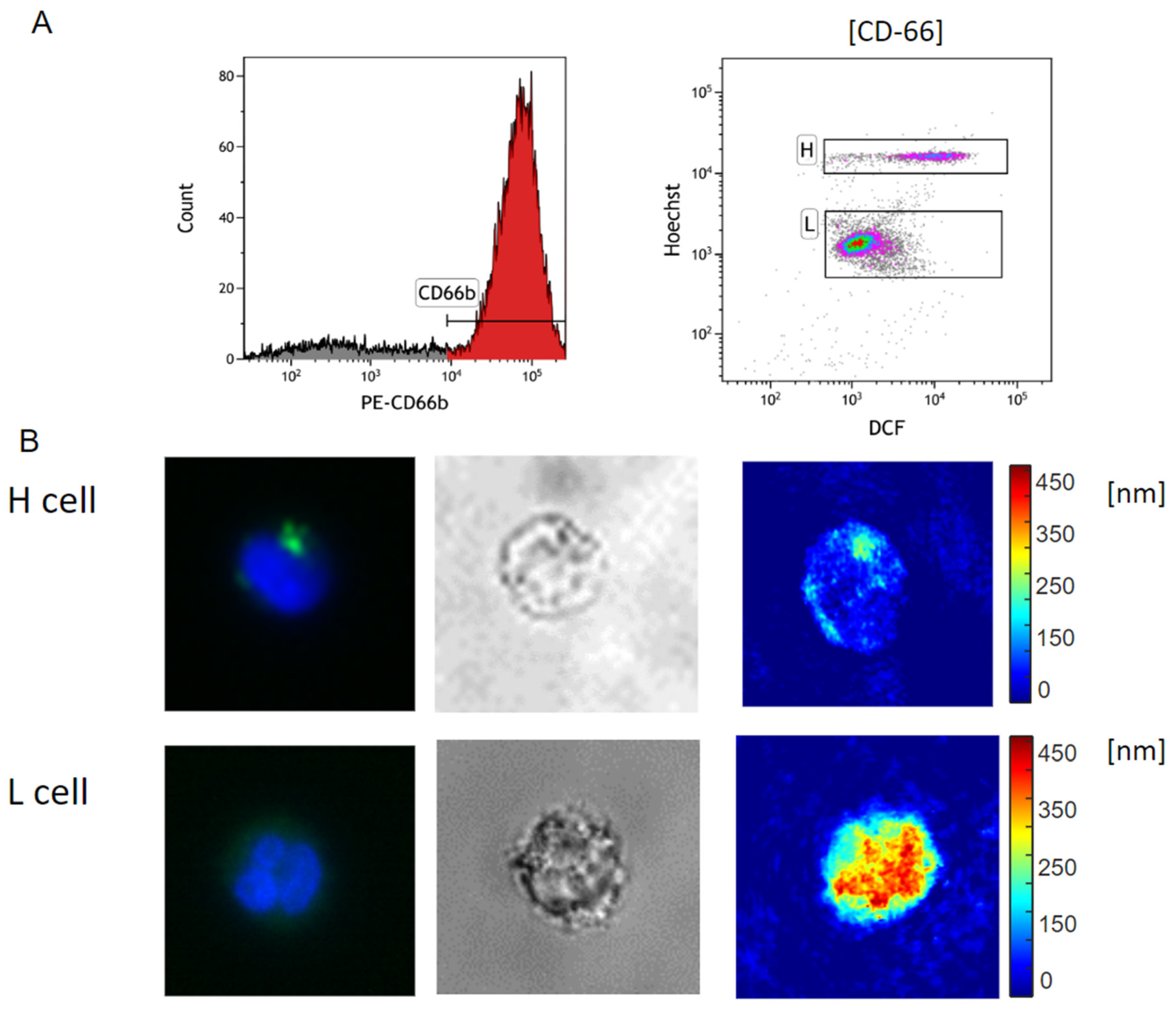 Preprints 96965 g003