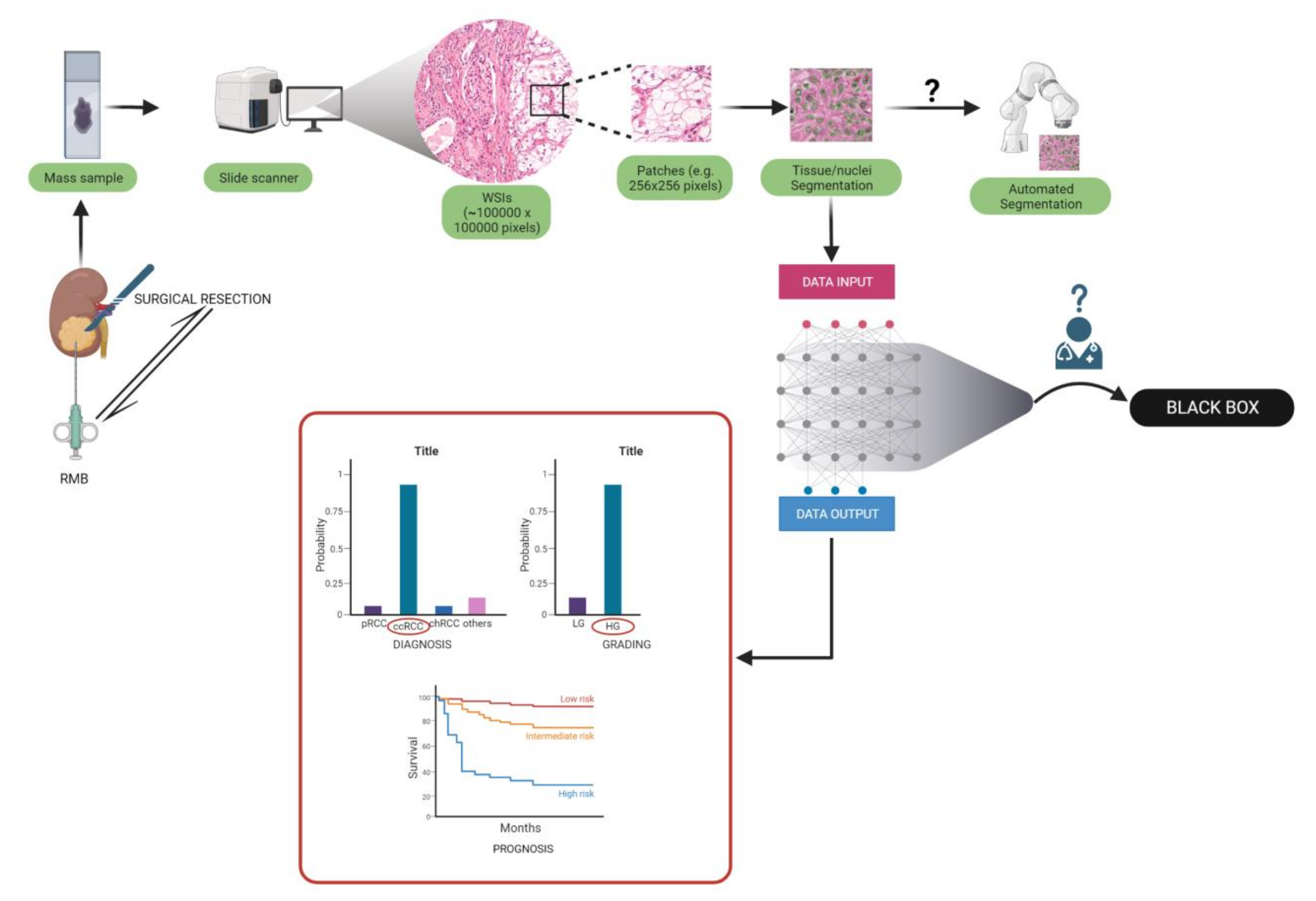 Preprints 75416 g001