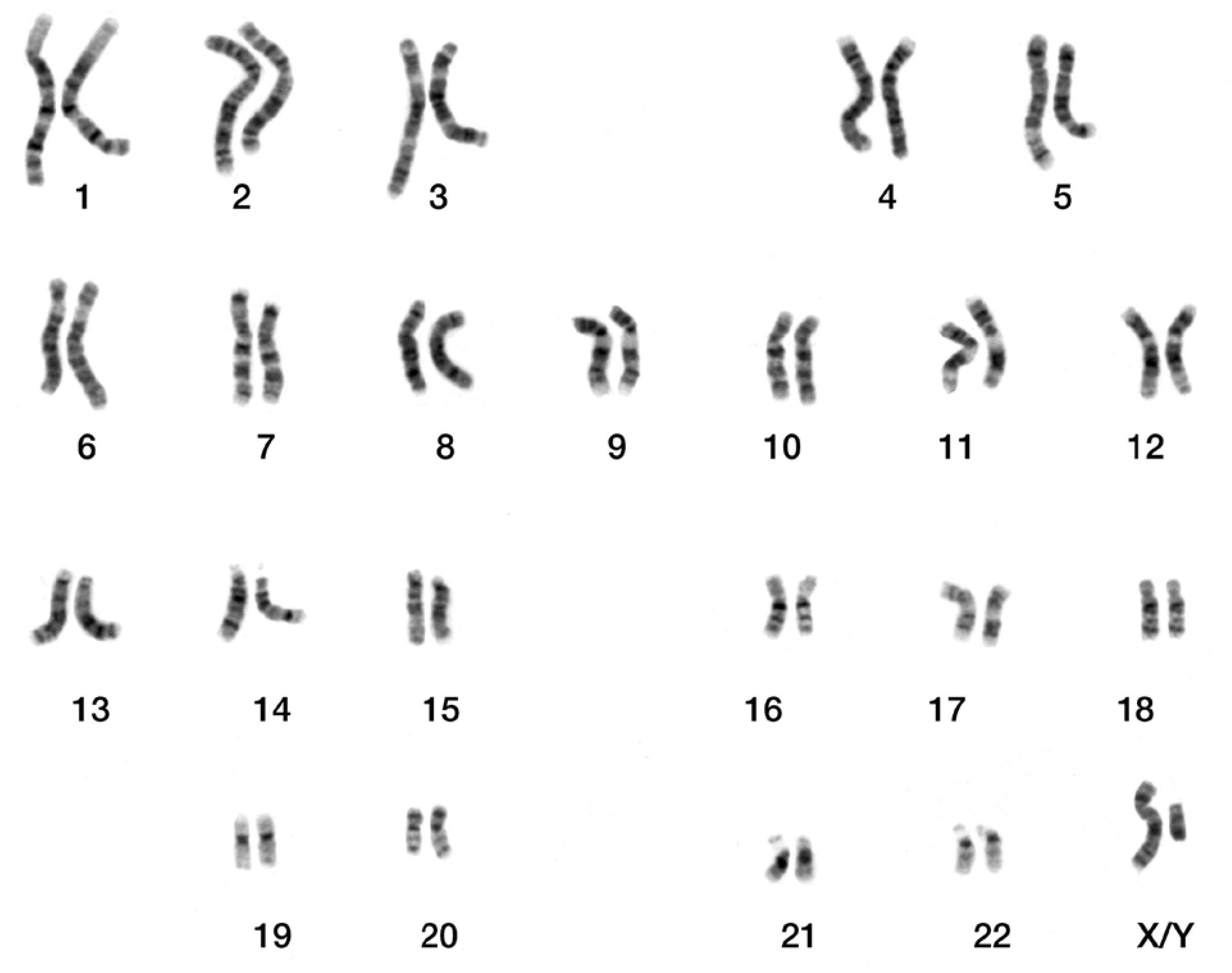 Preprints 75569 g001