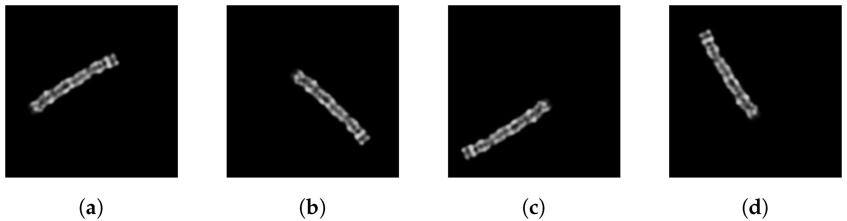 Preprints 75569 g003