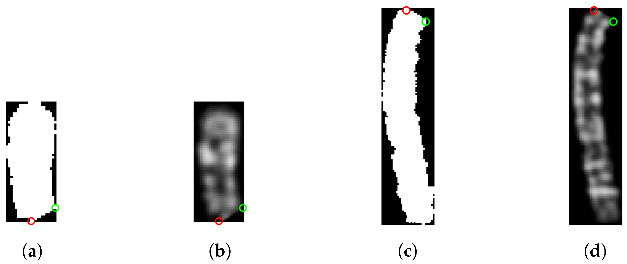 Preprints 75569 g006