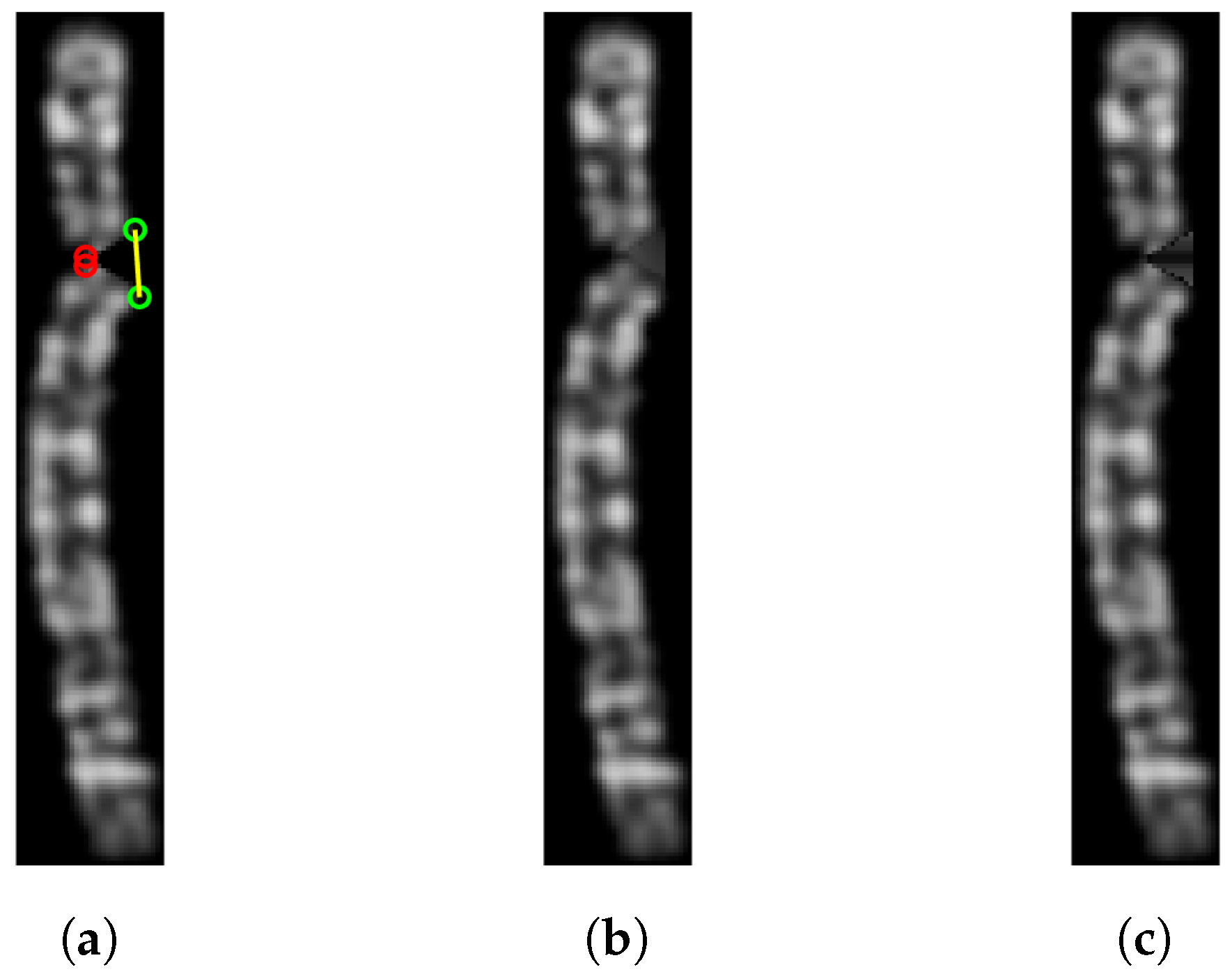 Preprints 75569 g008