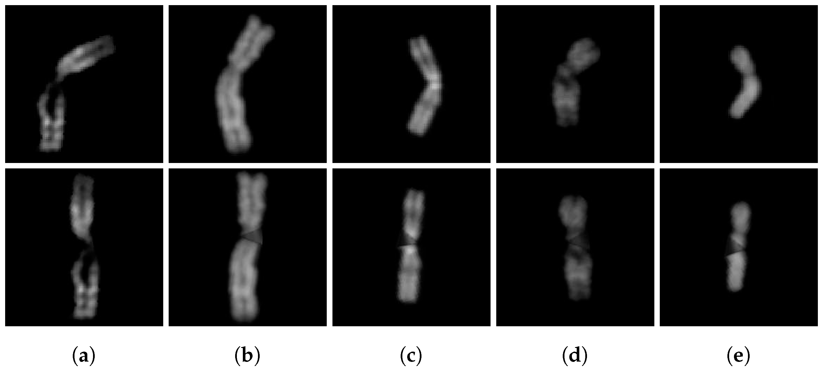 Preprints 75569 g010