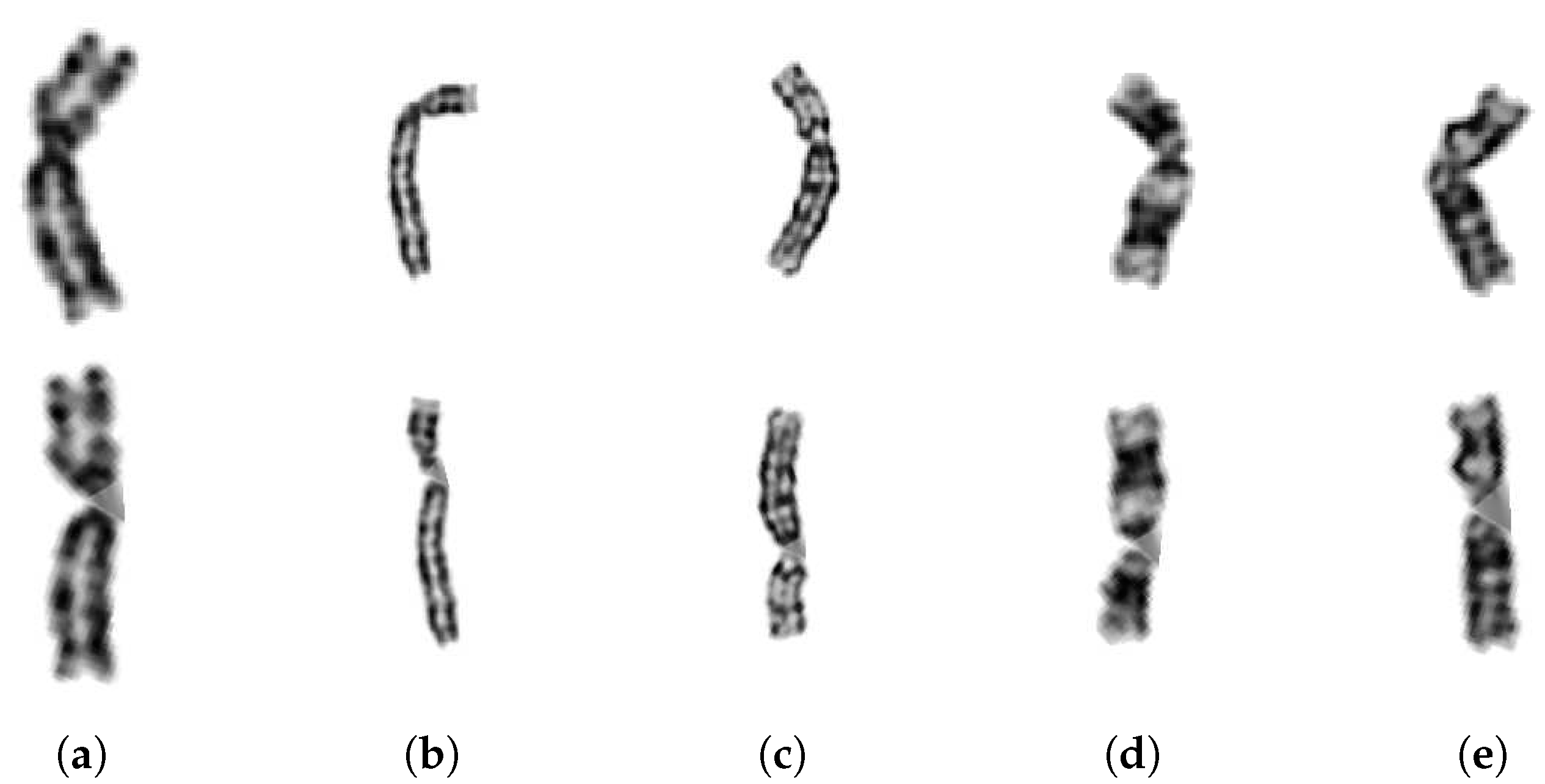 Preprints 75569 g011