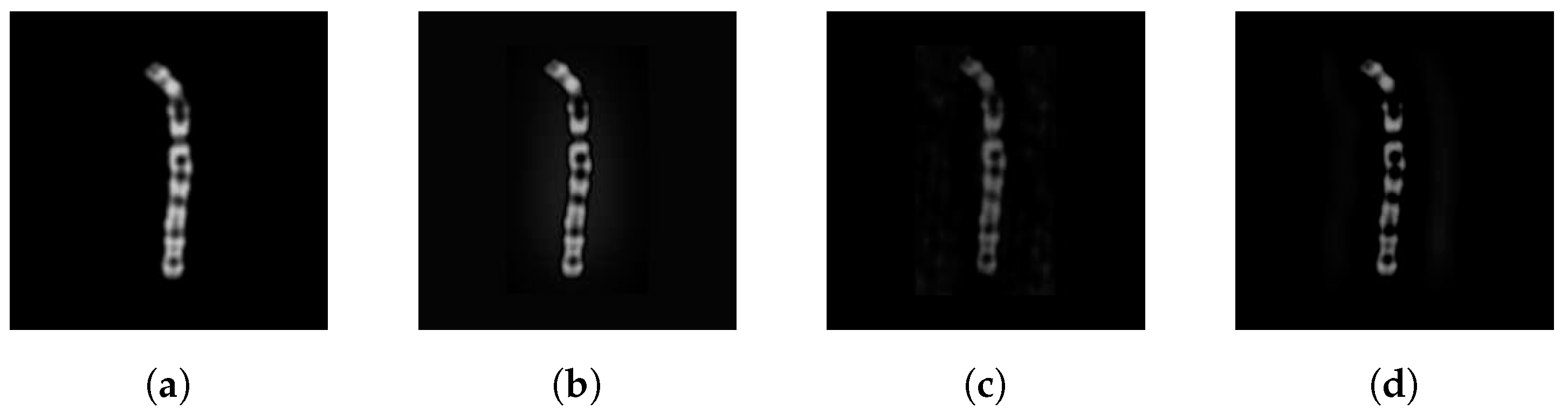 Preprints 75569 g013