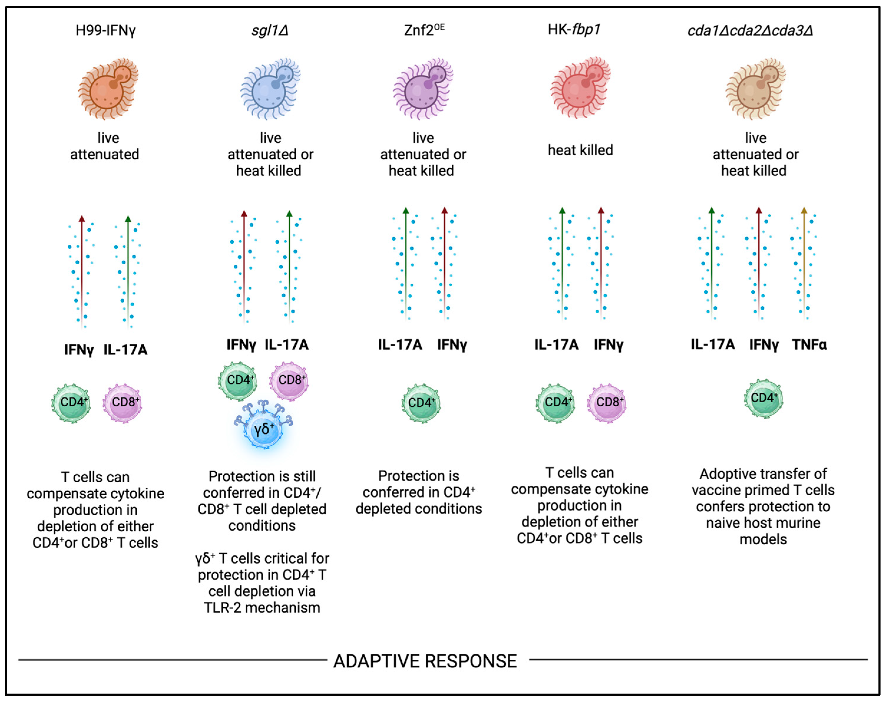 Preprints 140394 g002