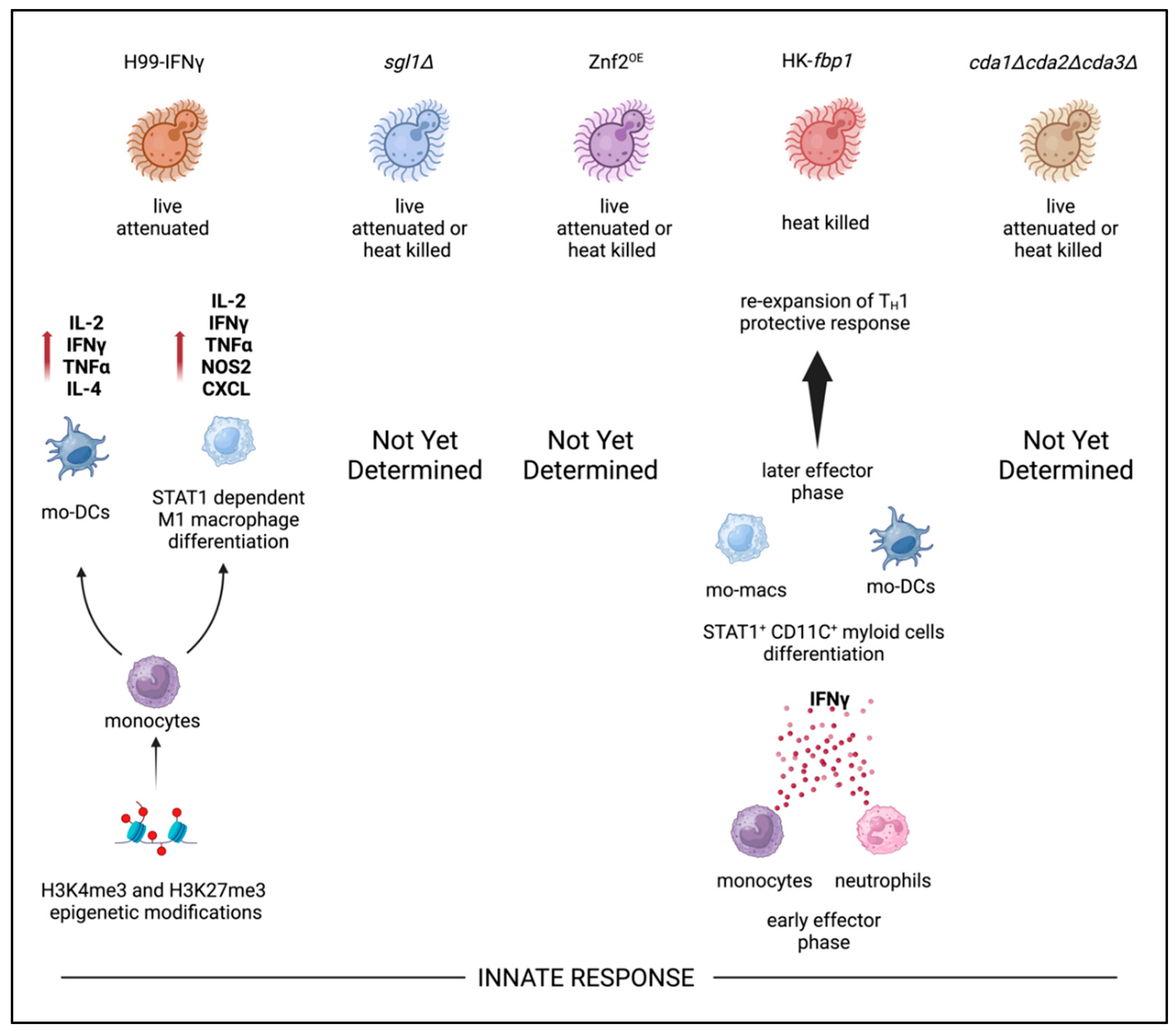 Preprints 140394 g003