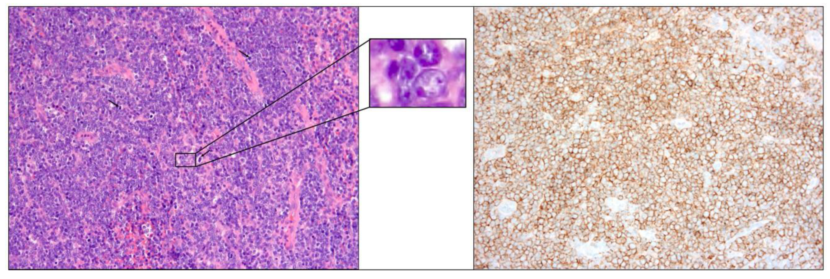 Preprints 85734 g003