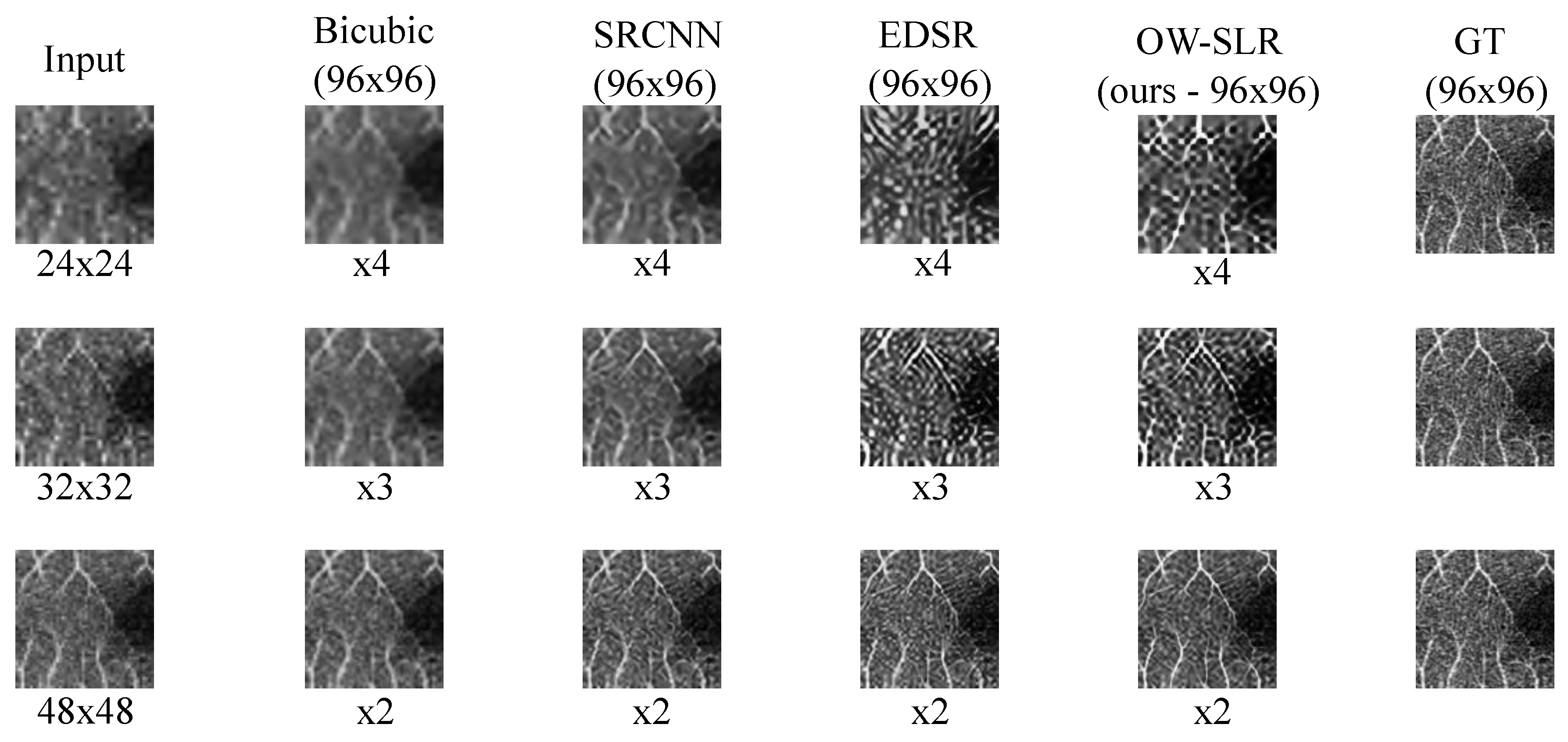 Preprints 83456 g004