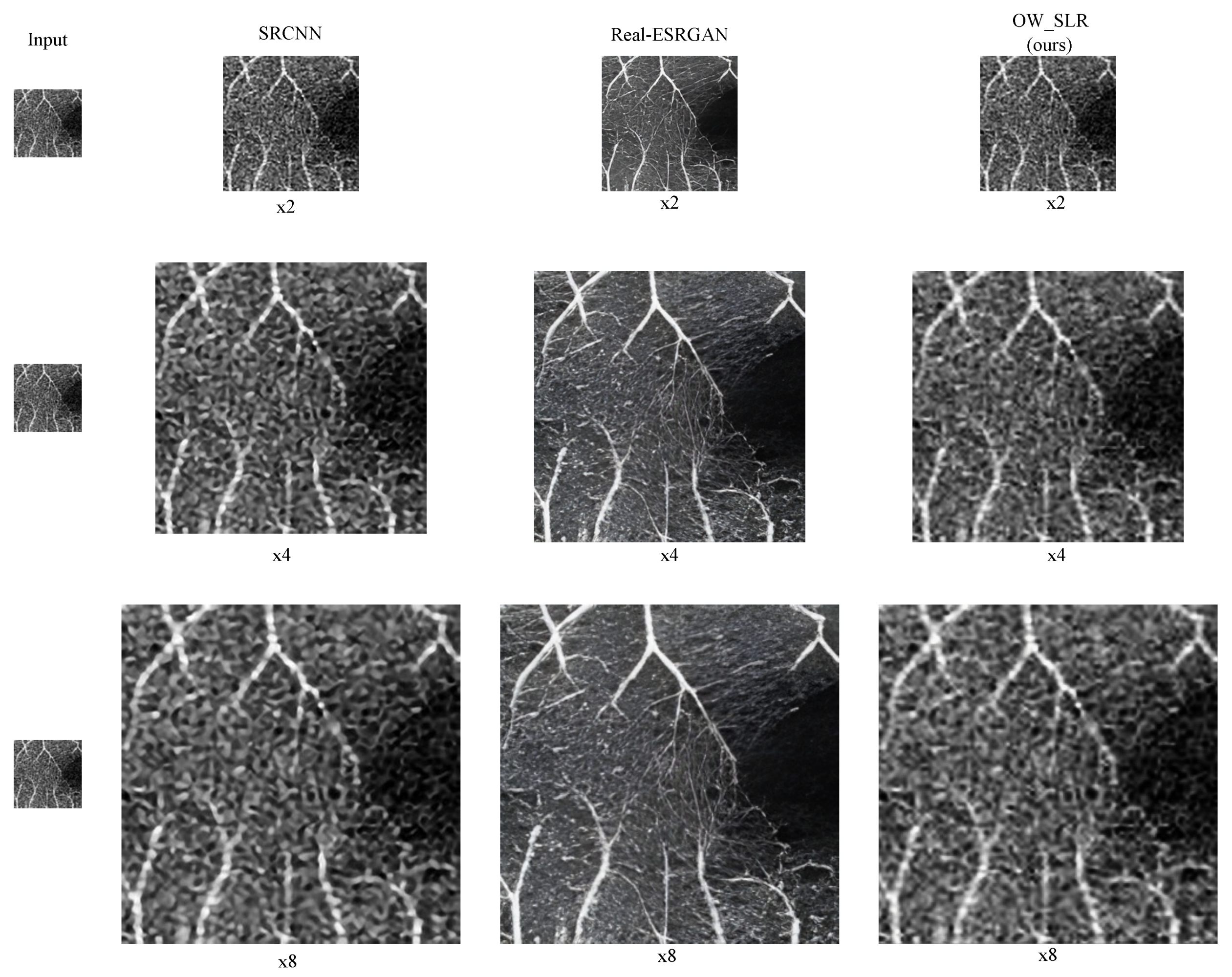 Preprints 83456 g005