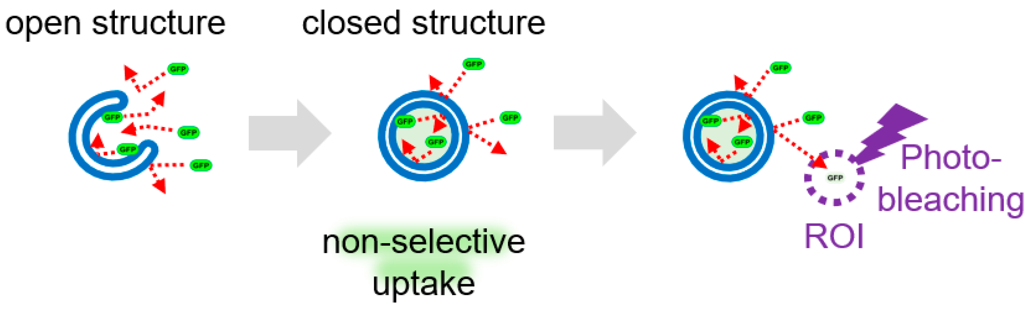 Preprints 87590 g005