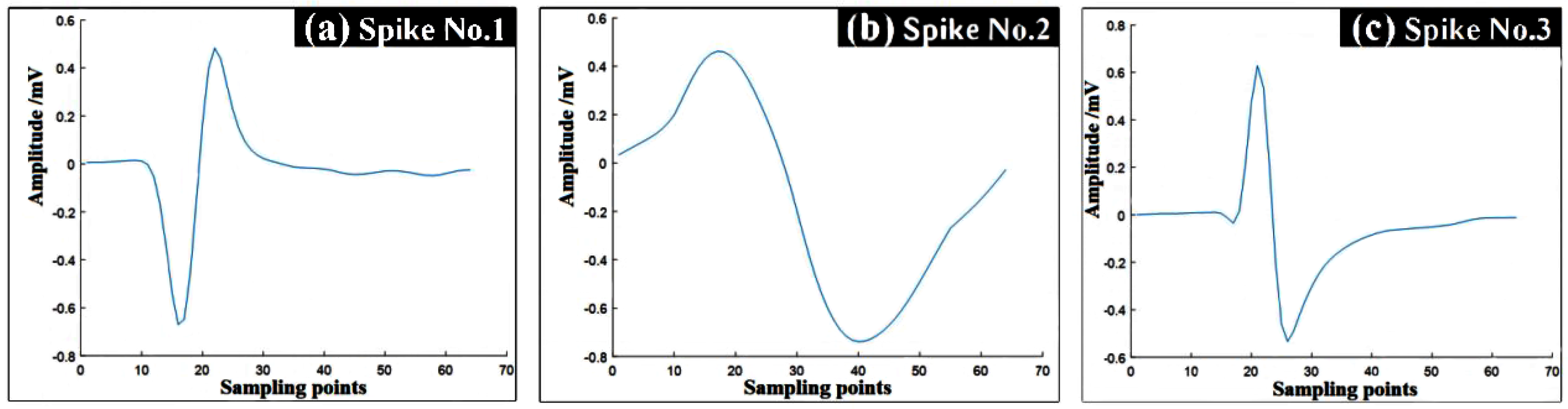 Preprints 81016 g004