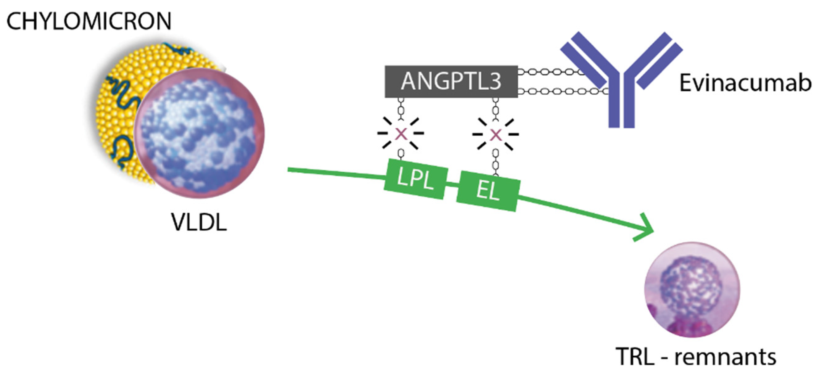 Preprints 79068 g002