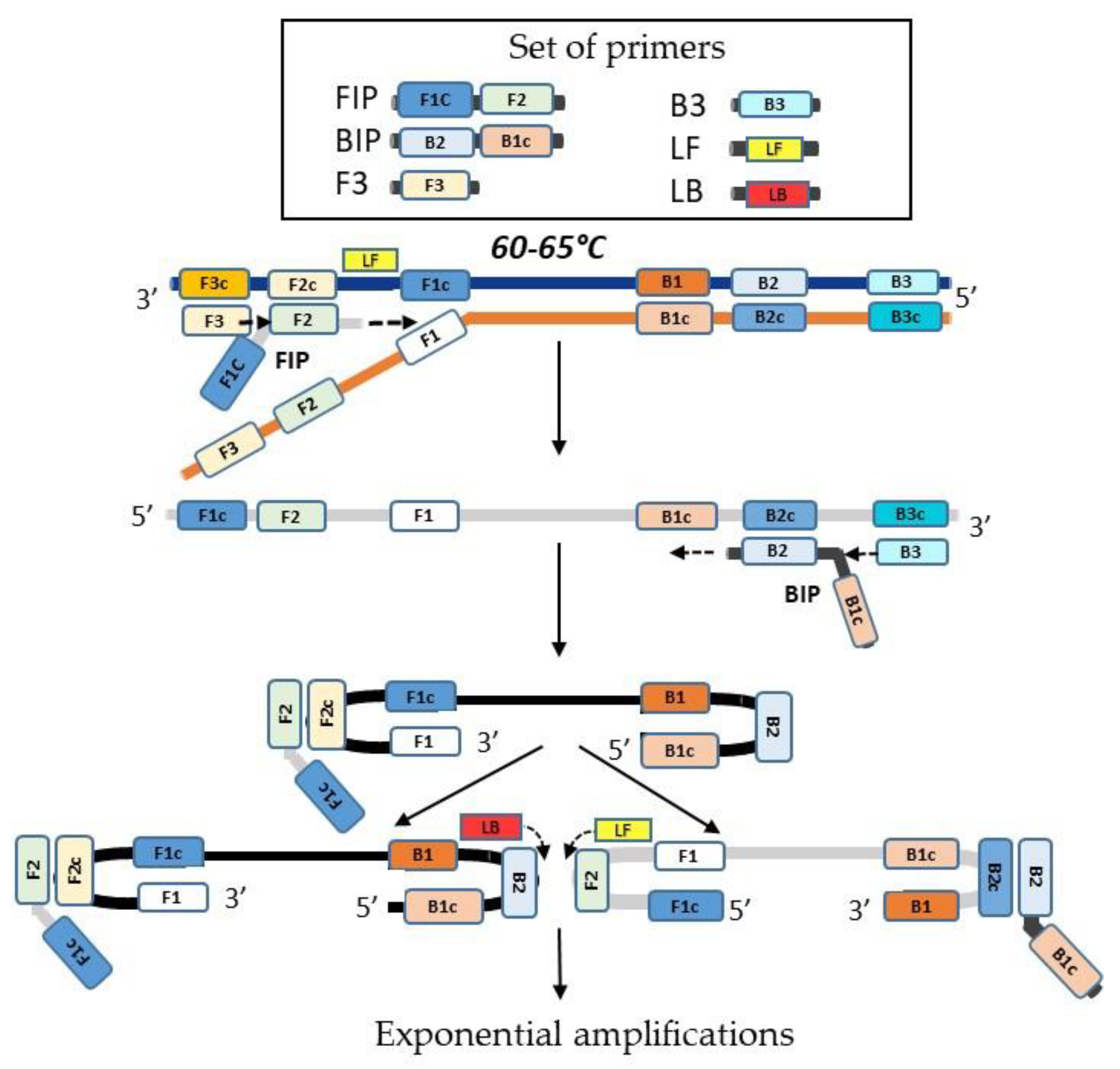 Preprints 120602 g005