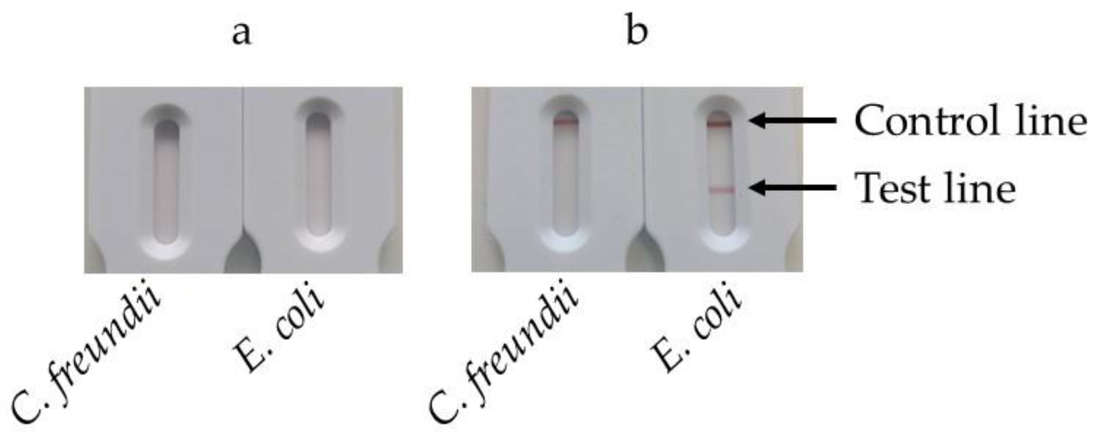 Preprints 120602 g008