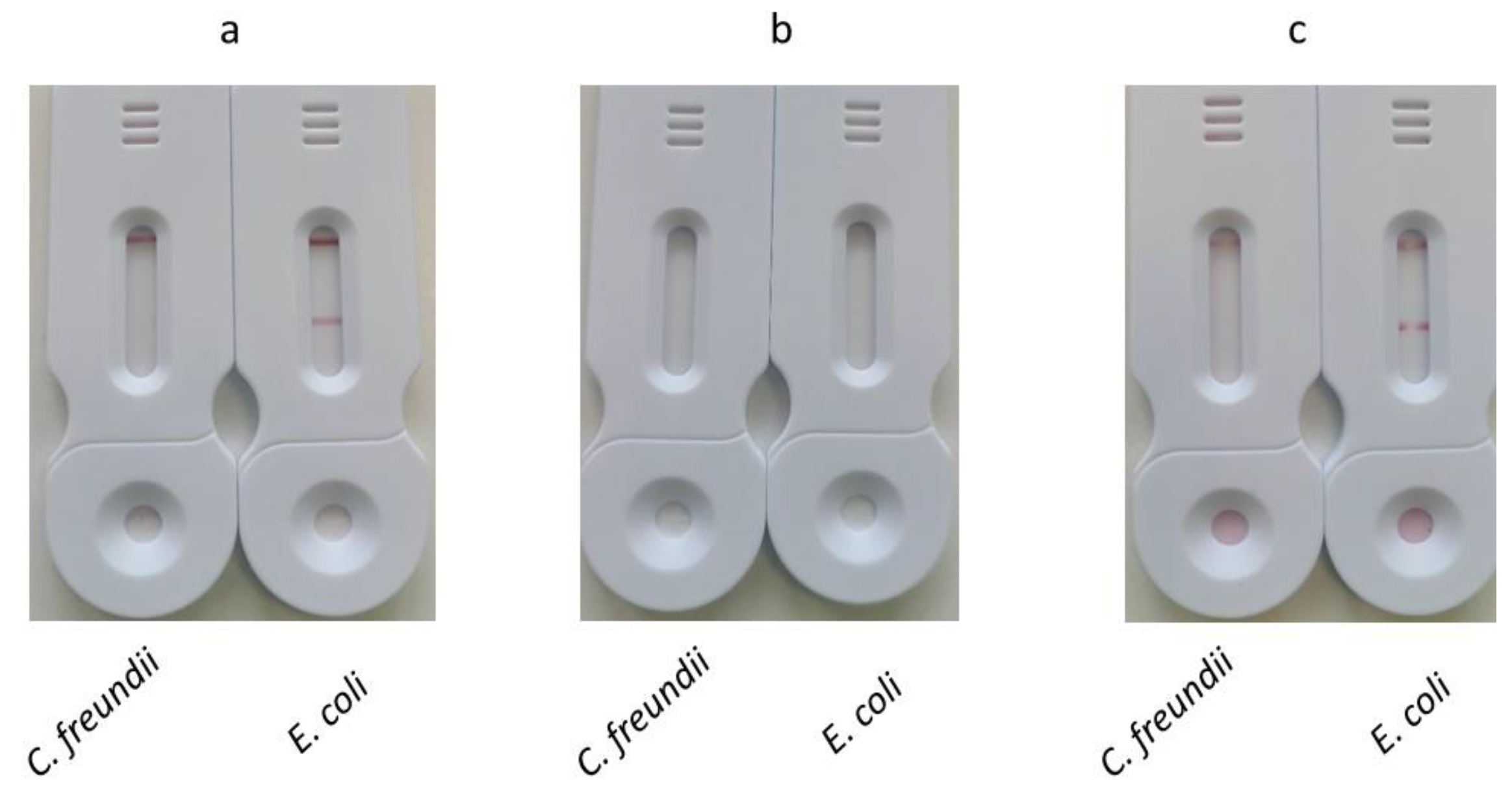 Preprints 120602 g009