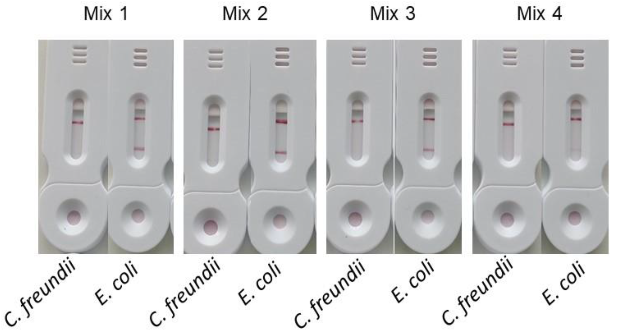 Preprints 120602 g010