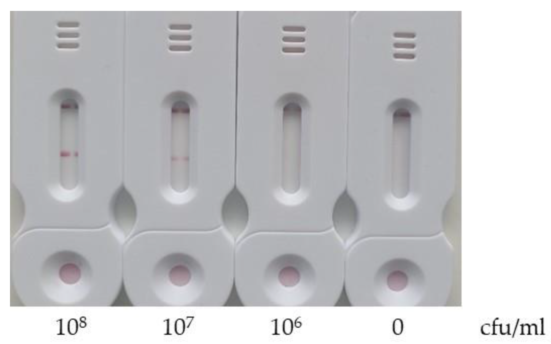 Preprints 120602 g011