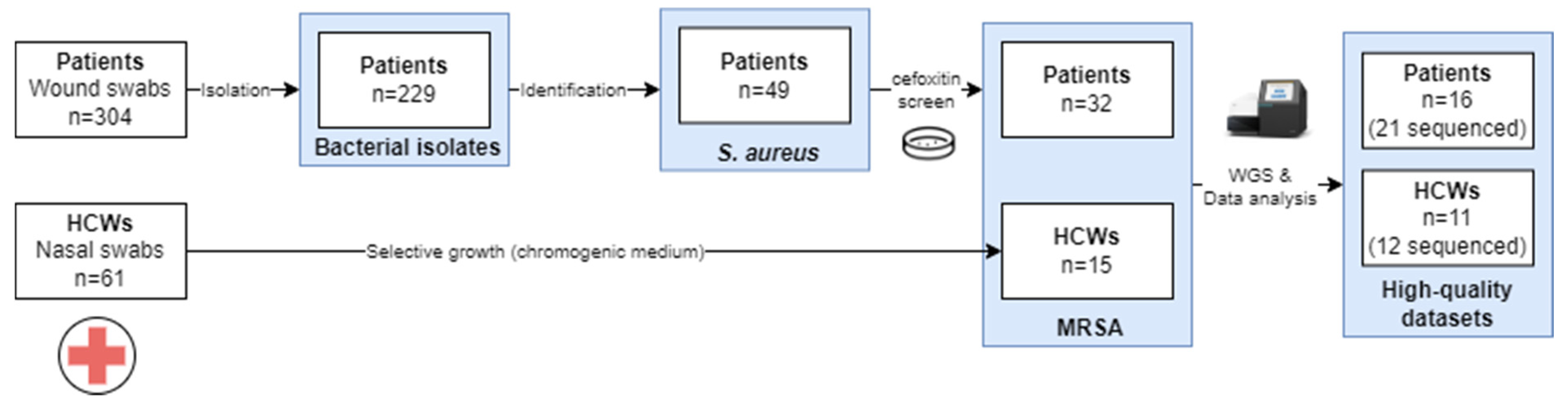 Preprints 77944 g001