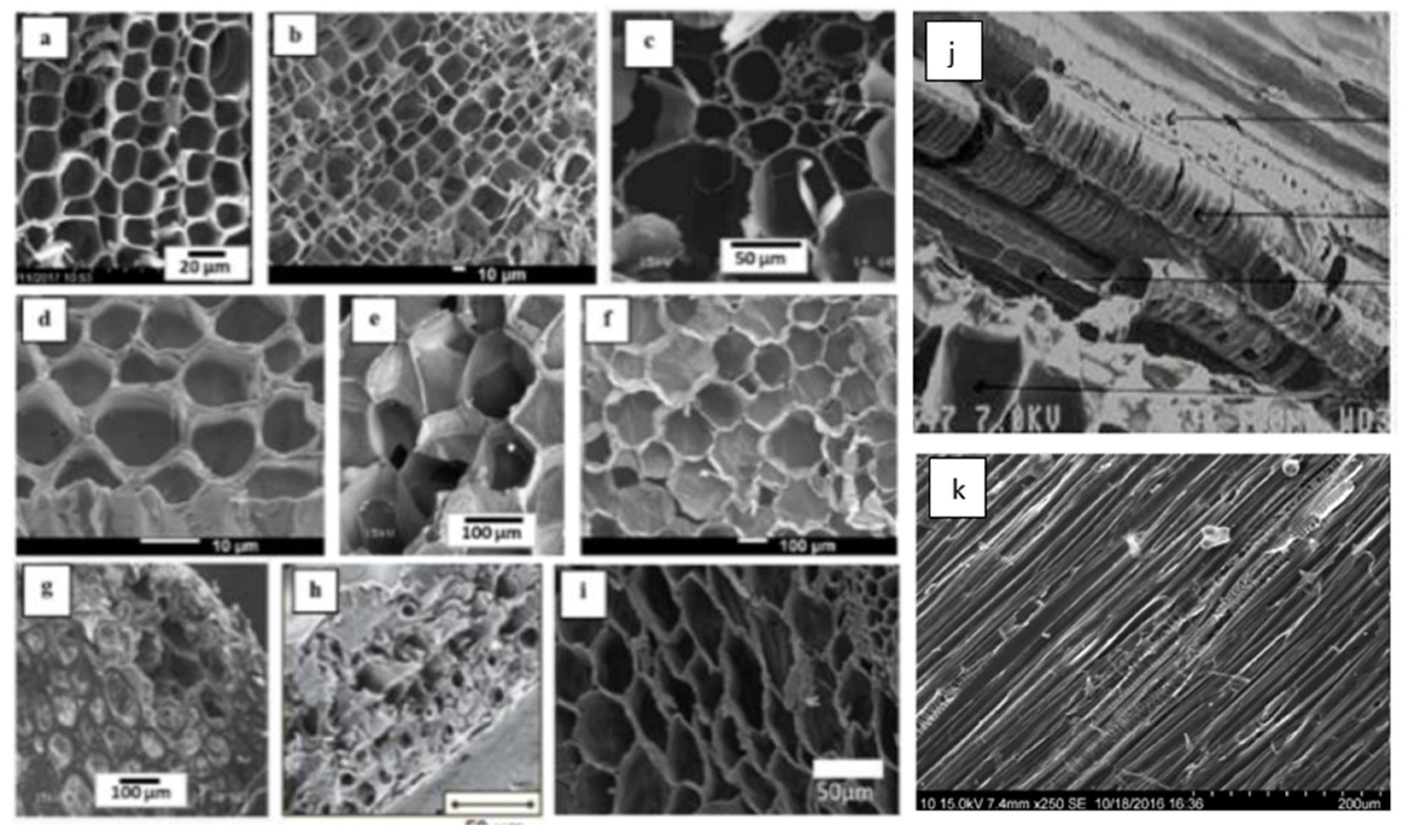 Preprints 73894 g002