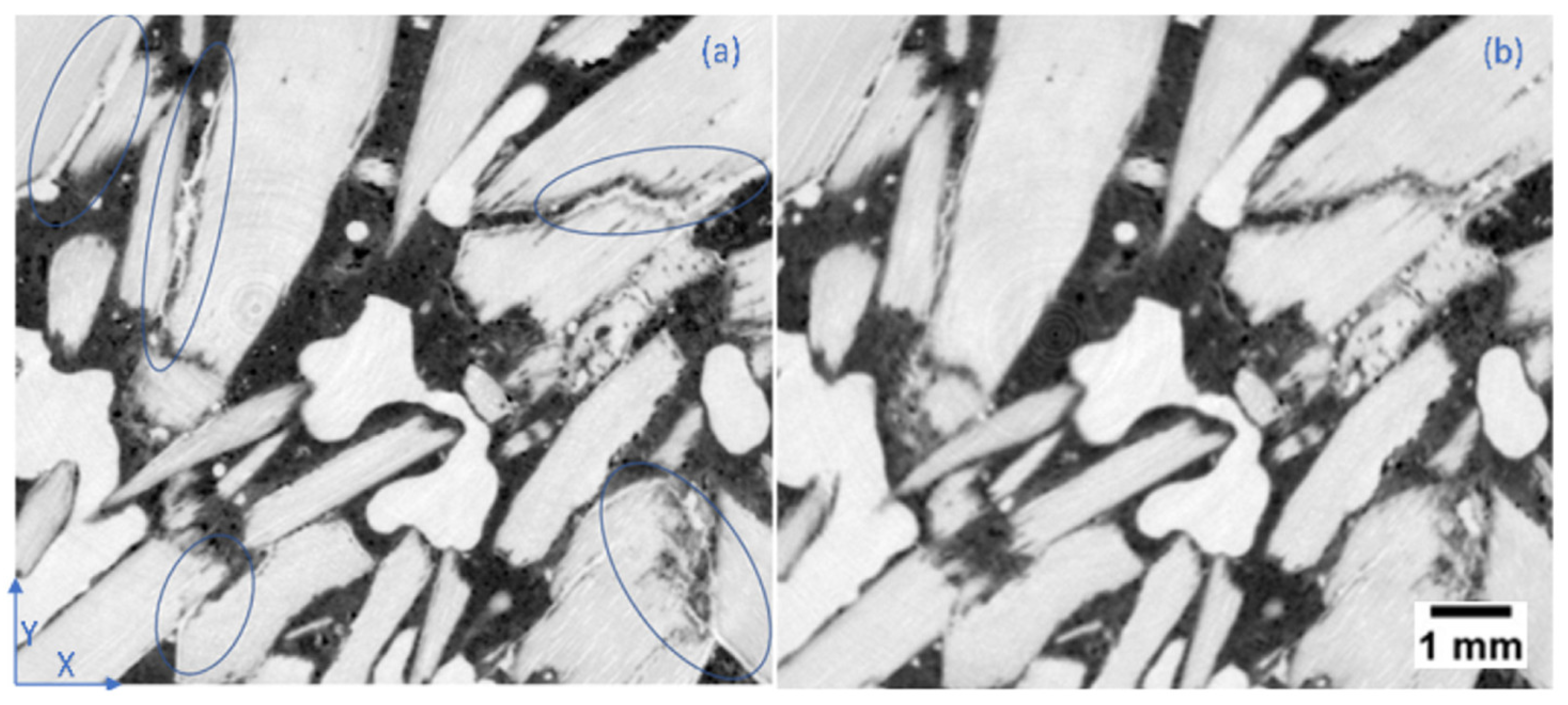 Preprints 73894 g007