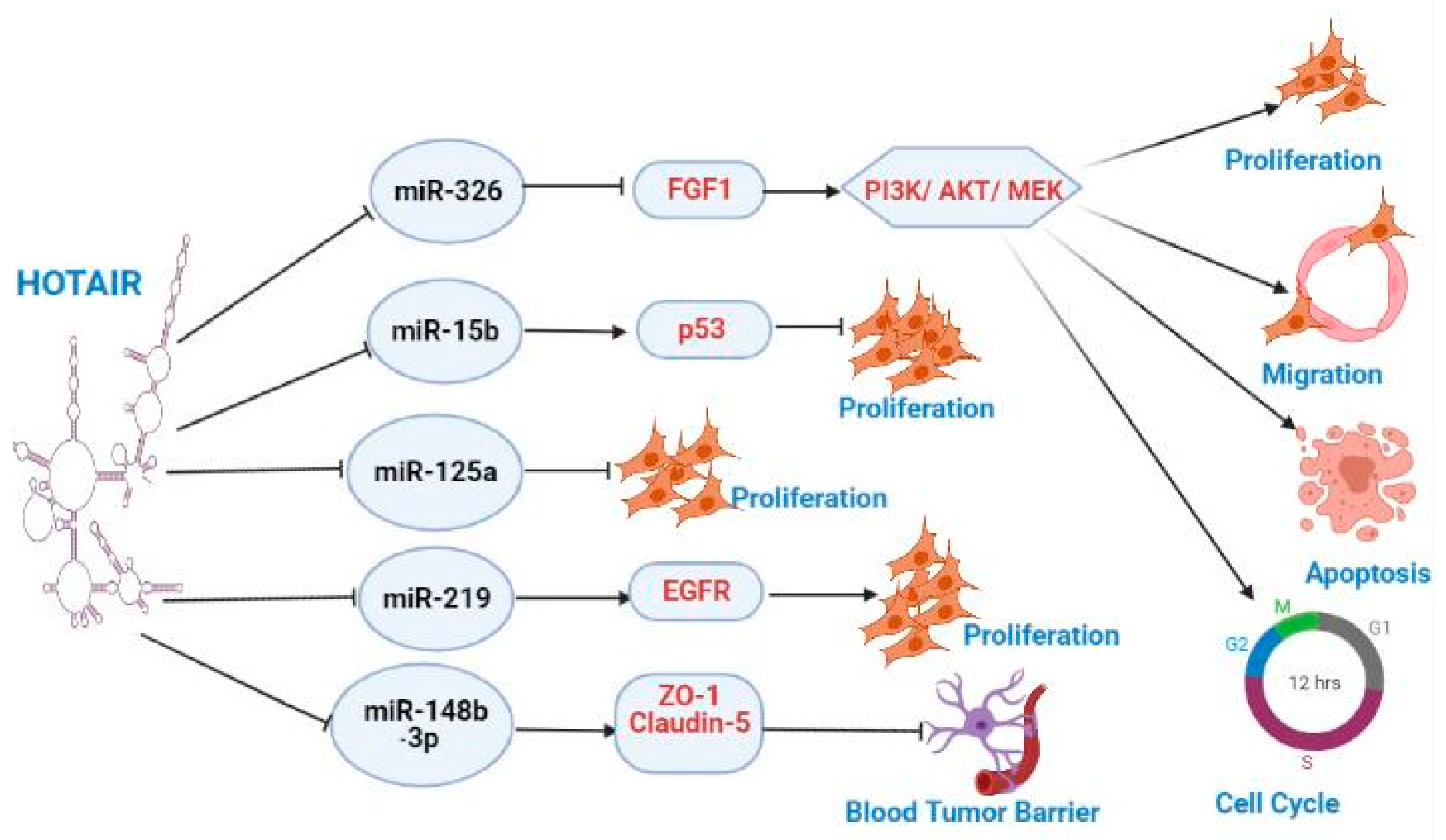 Preprints 112423 g001